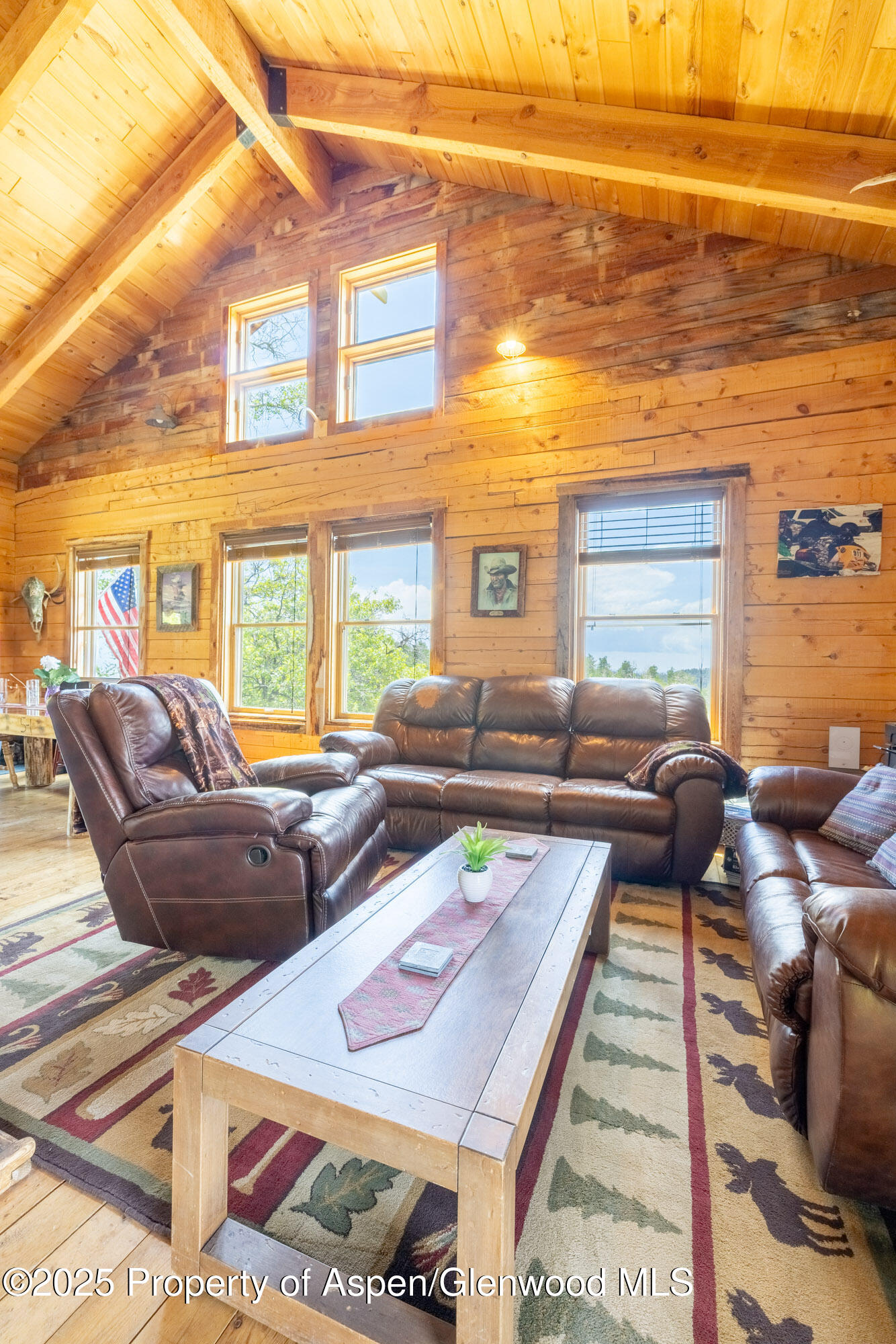 15805 County Road 245 New Castle CO 81647