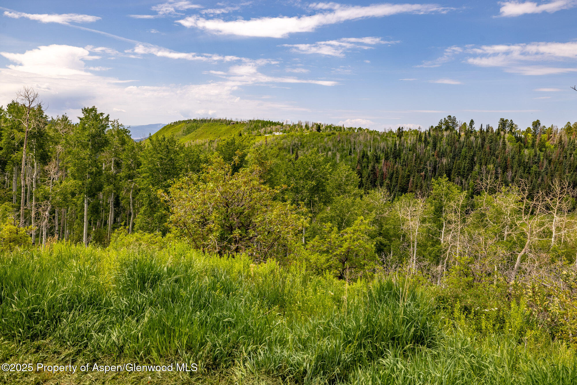 15805 County Road 245 New Castle CO 81647