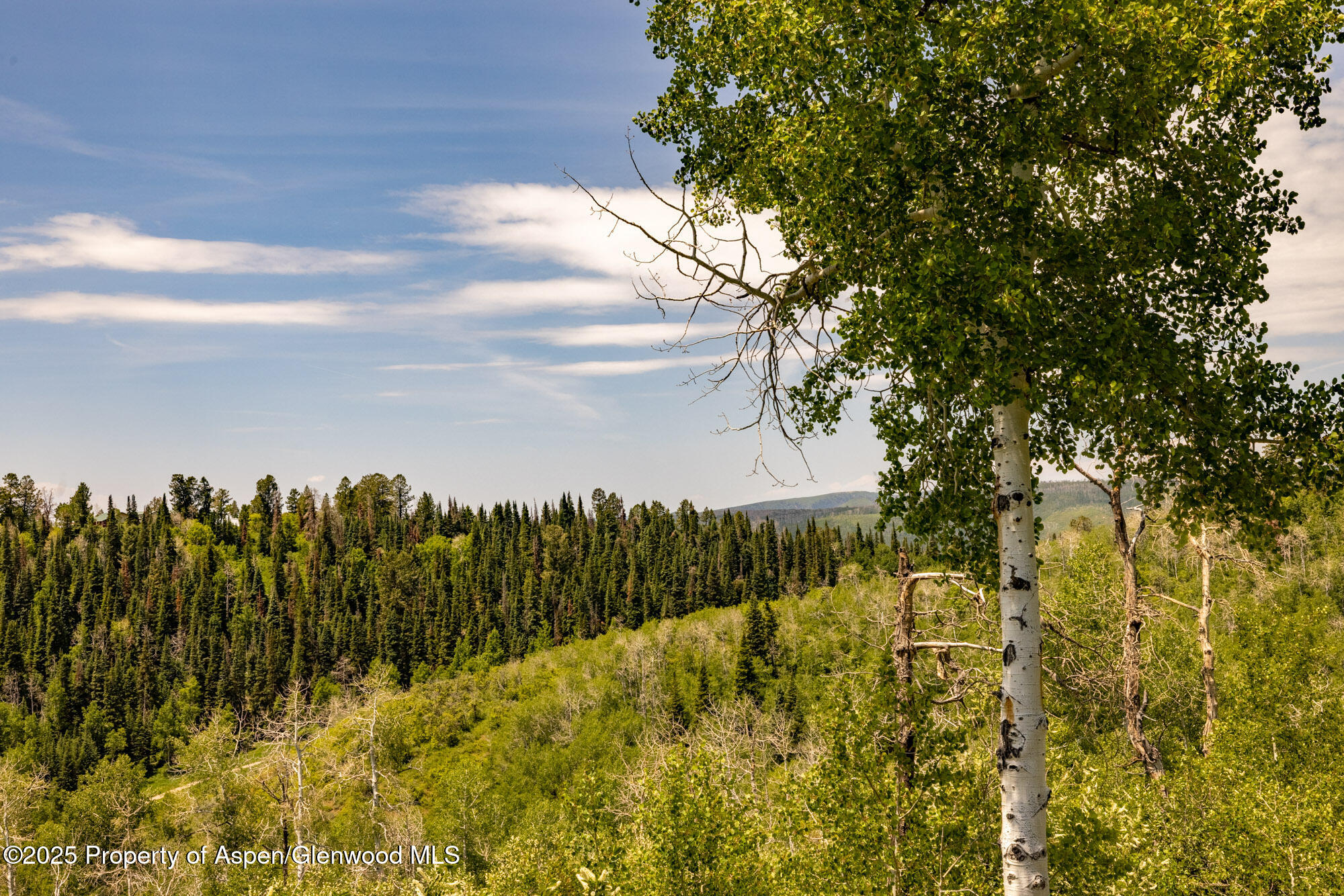 15805 County Road 245 New Castle CO 81647