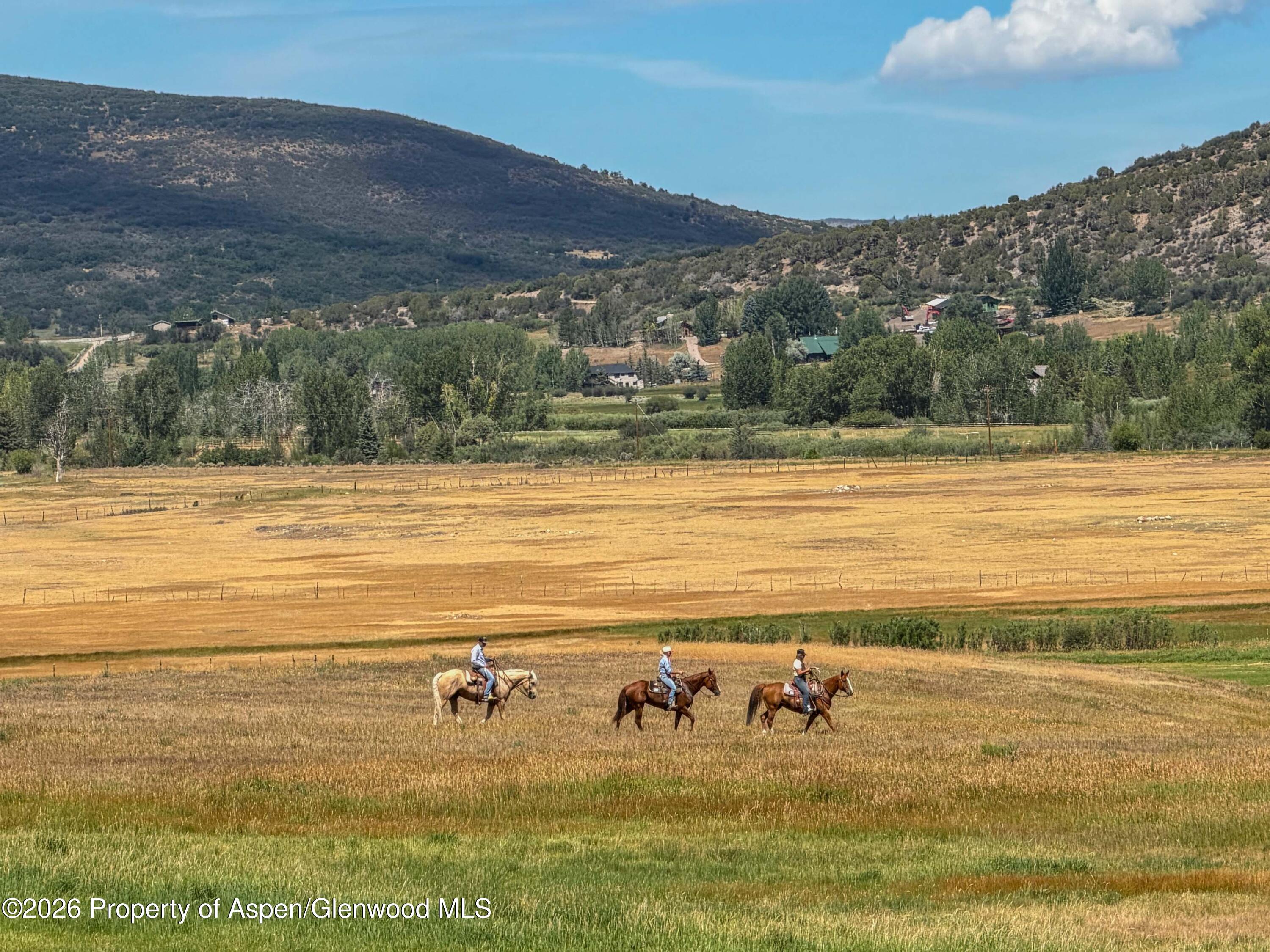 1480 Lazy O Road Snowmass CO 81654