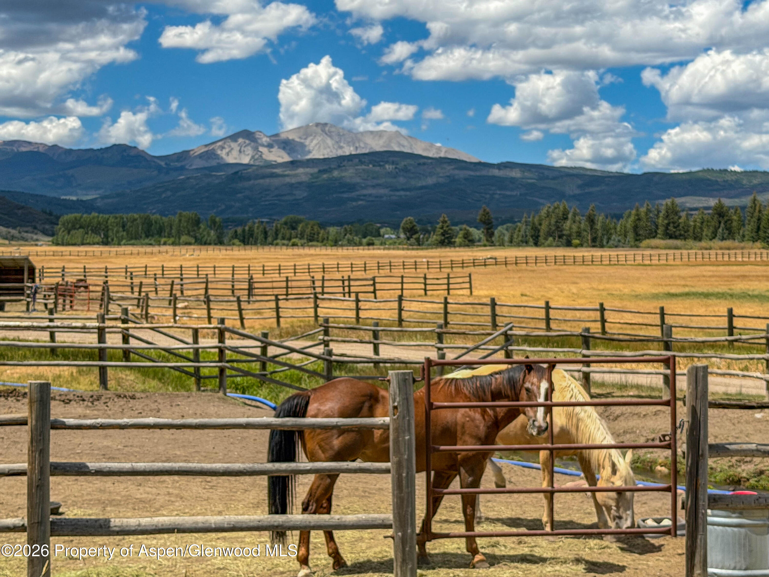 1480 Lazy O Road Snowmass CO 81654