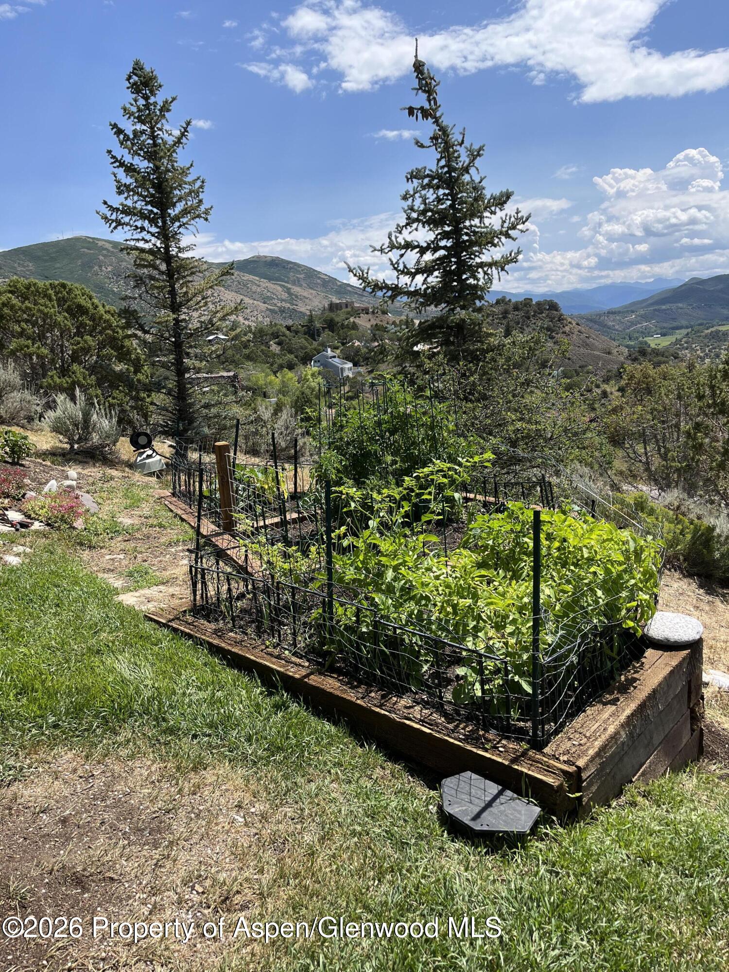 234 Light Hill Road Snowmass CO 81654