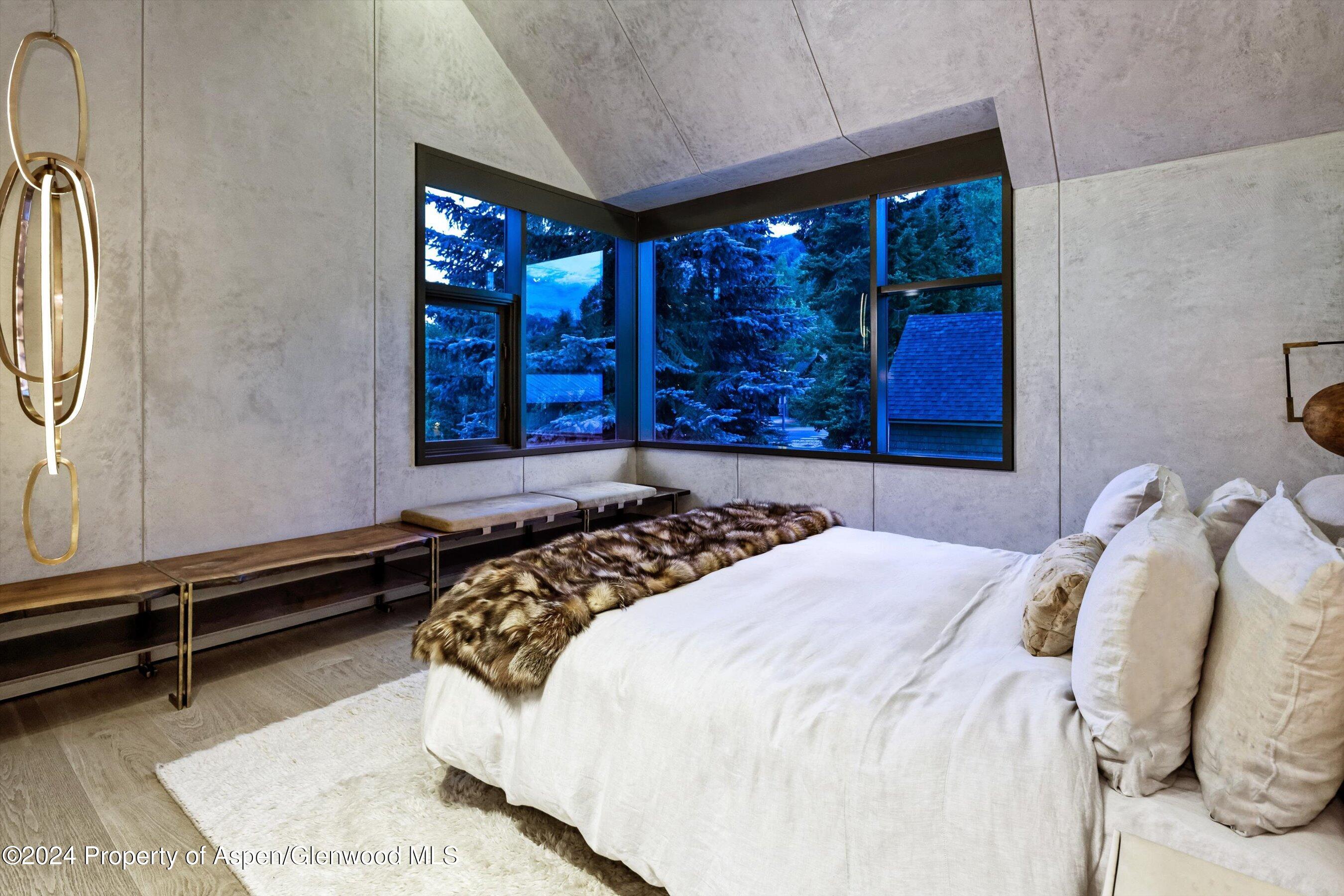 605 W Bleeker Street Aspen CO 81611