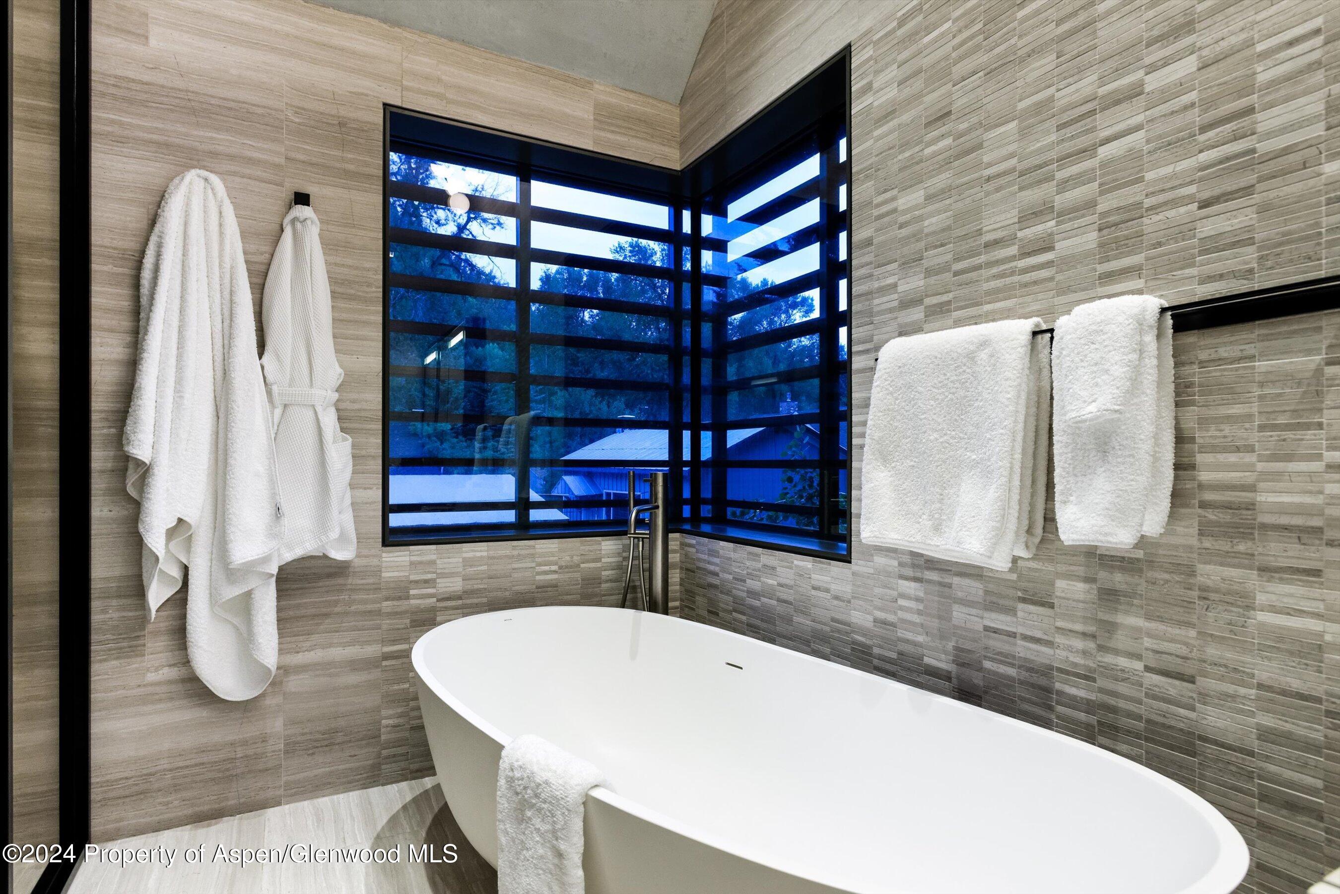 605 W Bleeker Street Aspen CO 81611