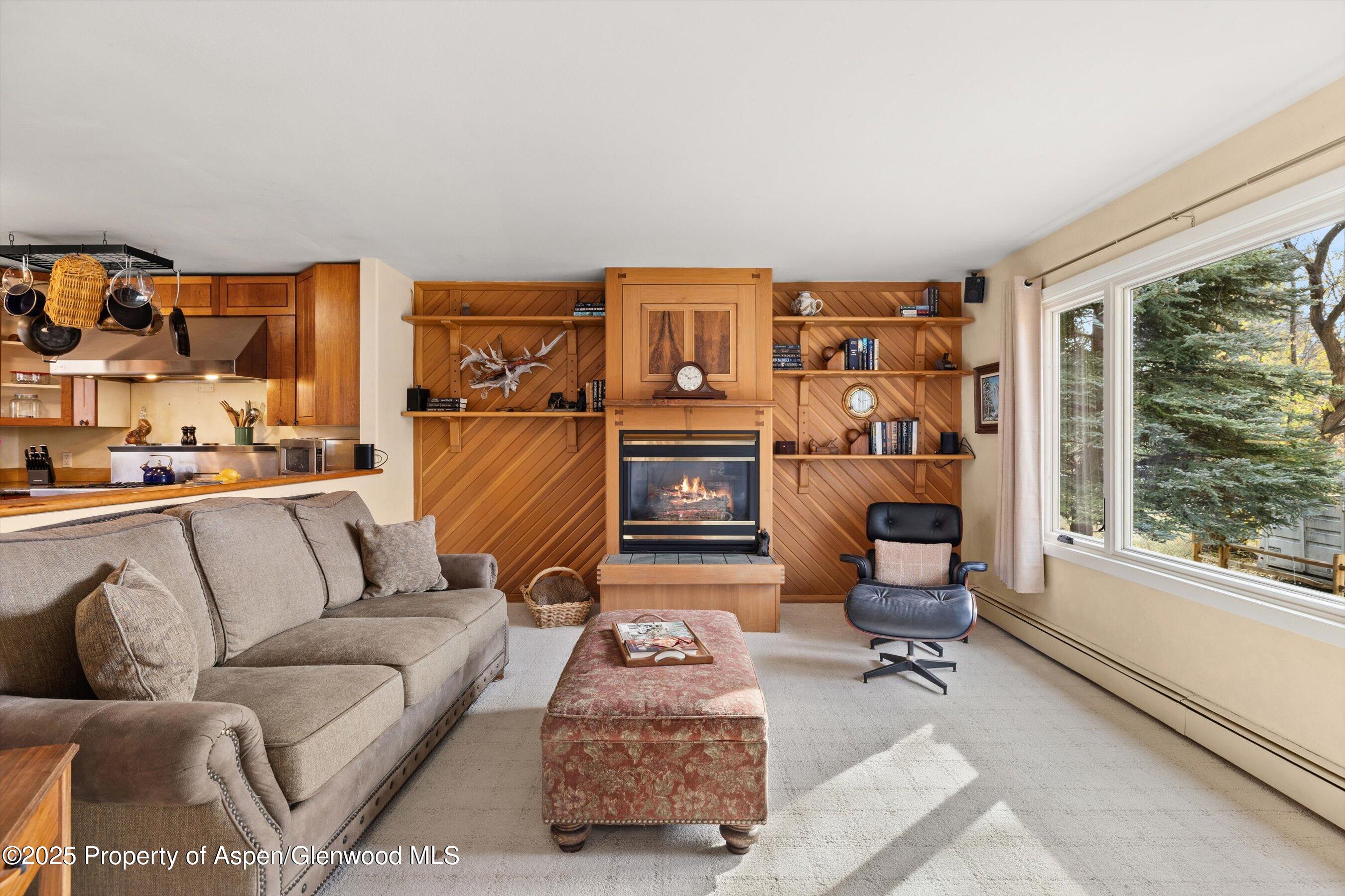 451 Euclid Avenue Carbondale CO 81623