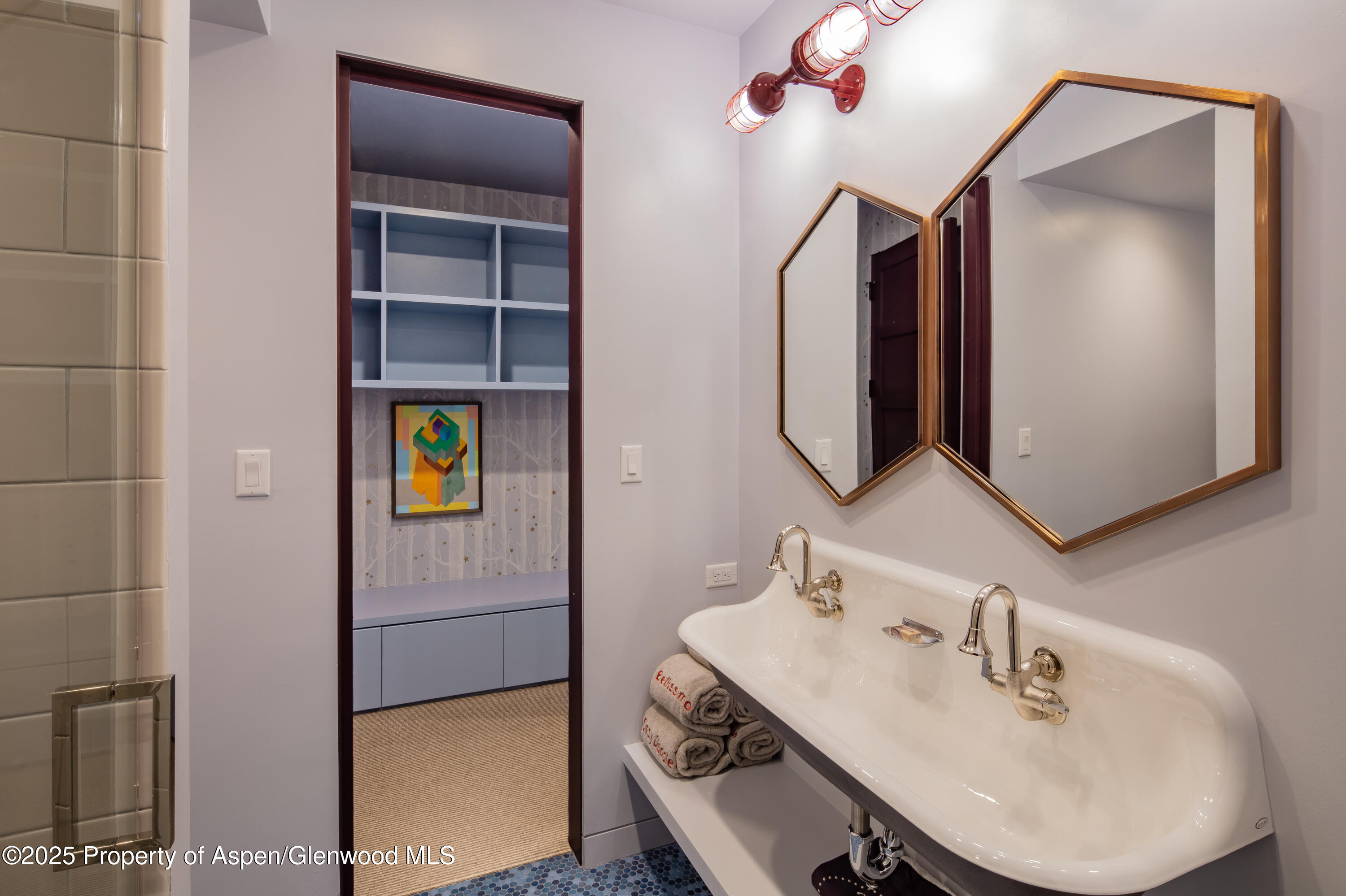 614 W North Street Aspen CO 81611