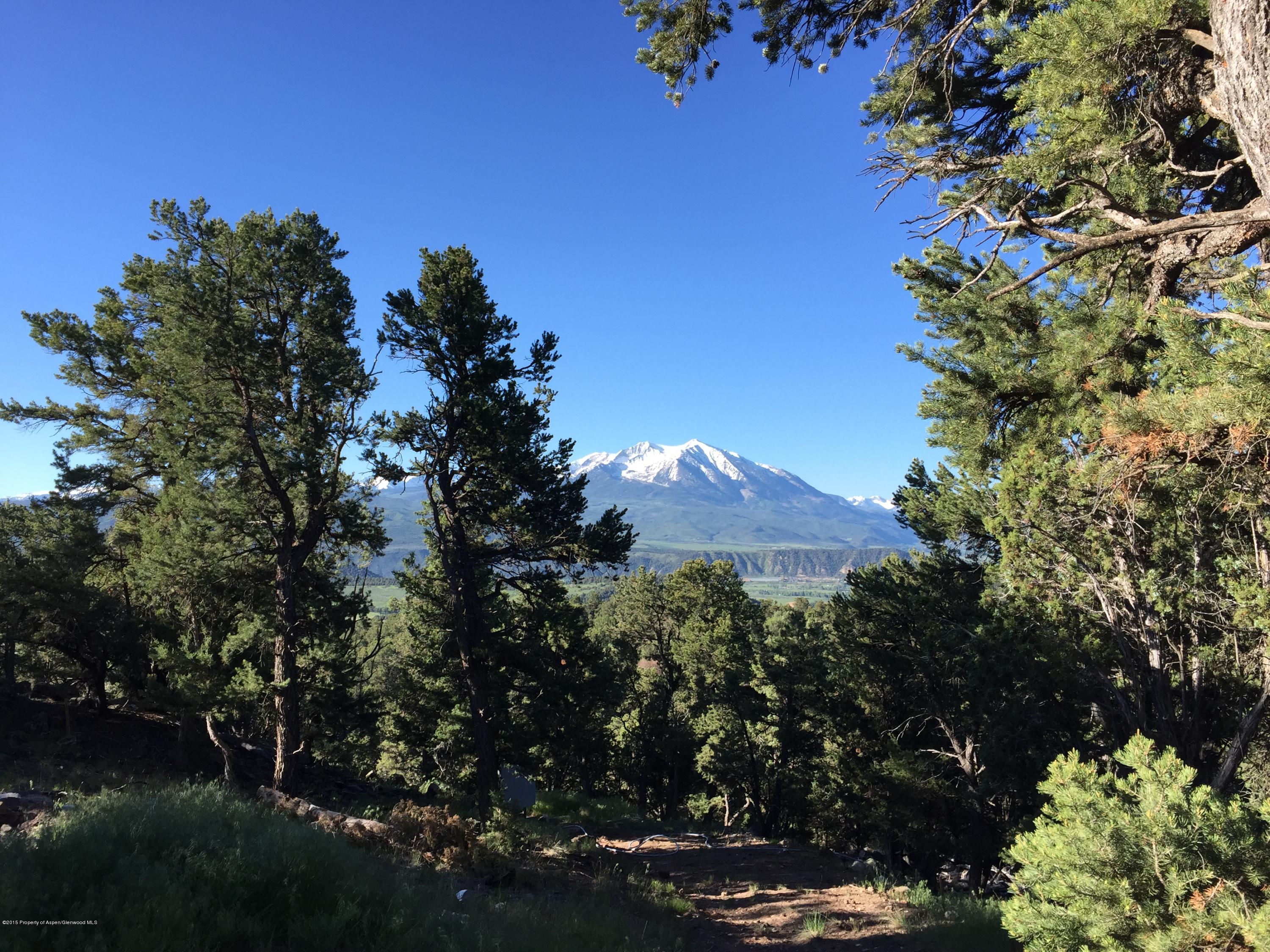 1262 County Road 112 Carbondale CO 81623