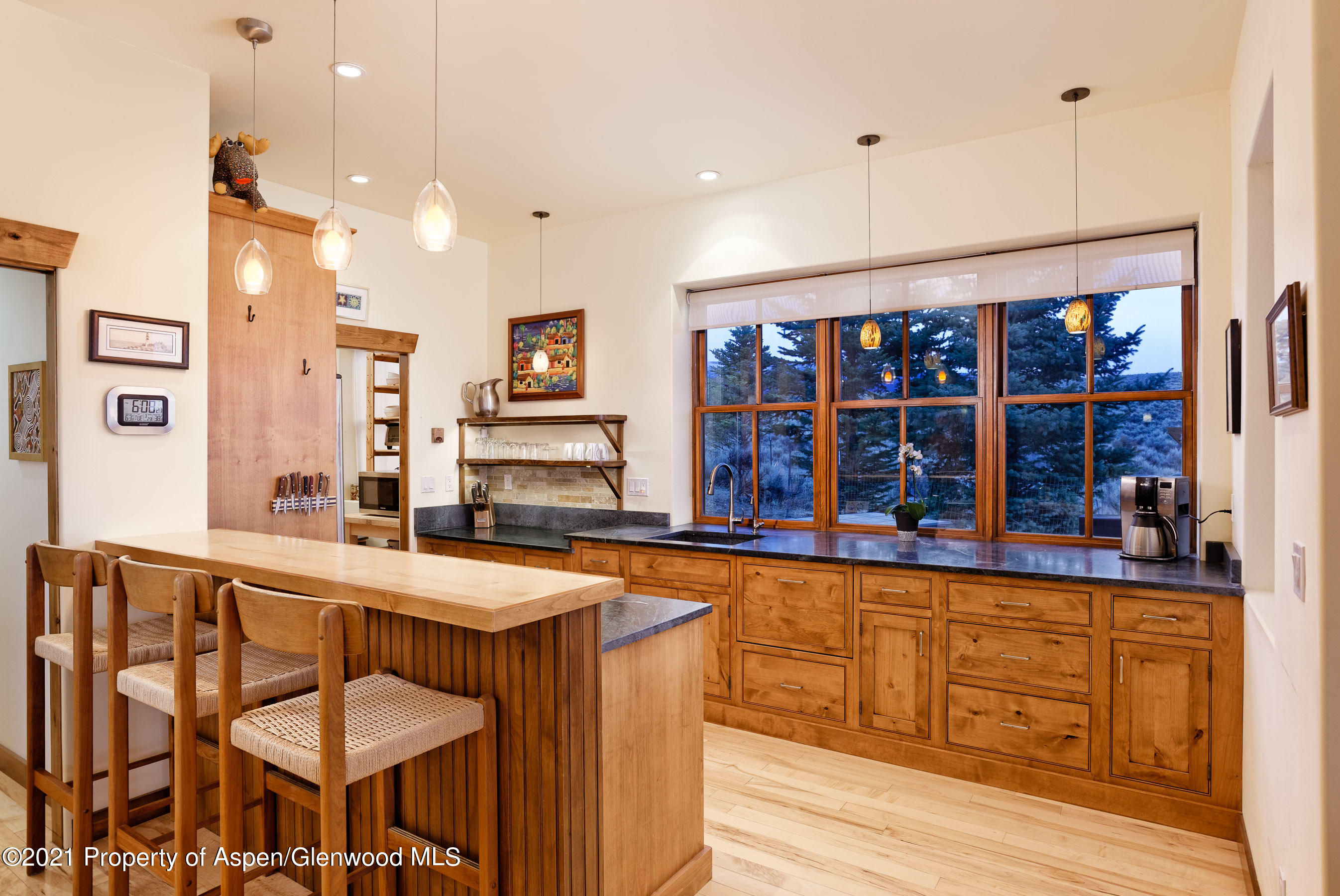 294 Aster Drive Glenwood Springs CO 81601
