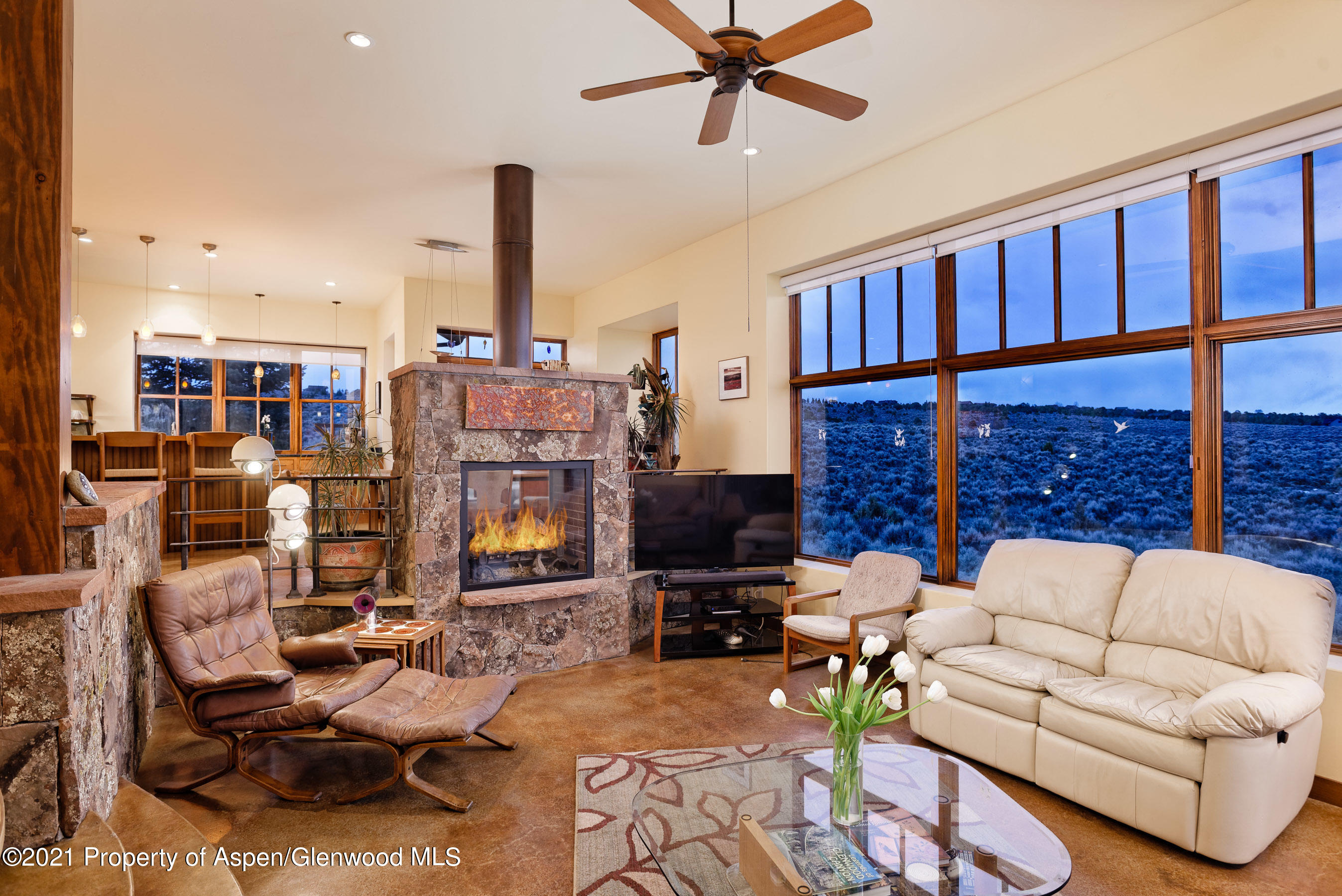 294 Aster Drive Glenwood Springs CO 81601