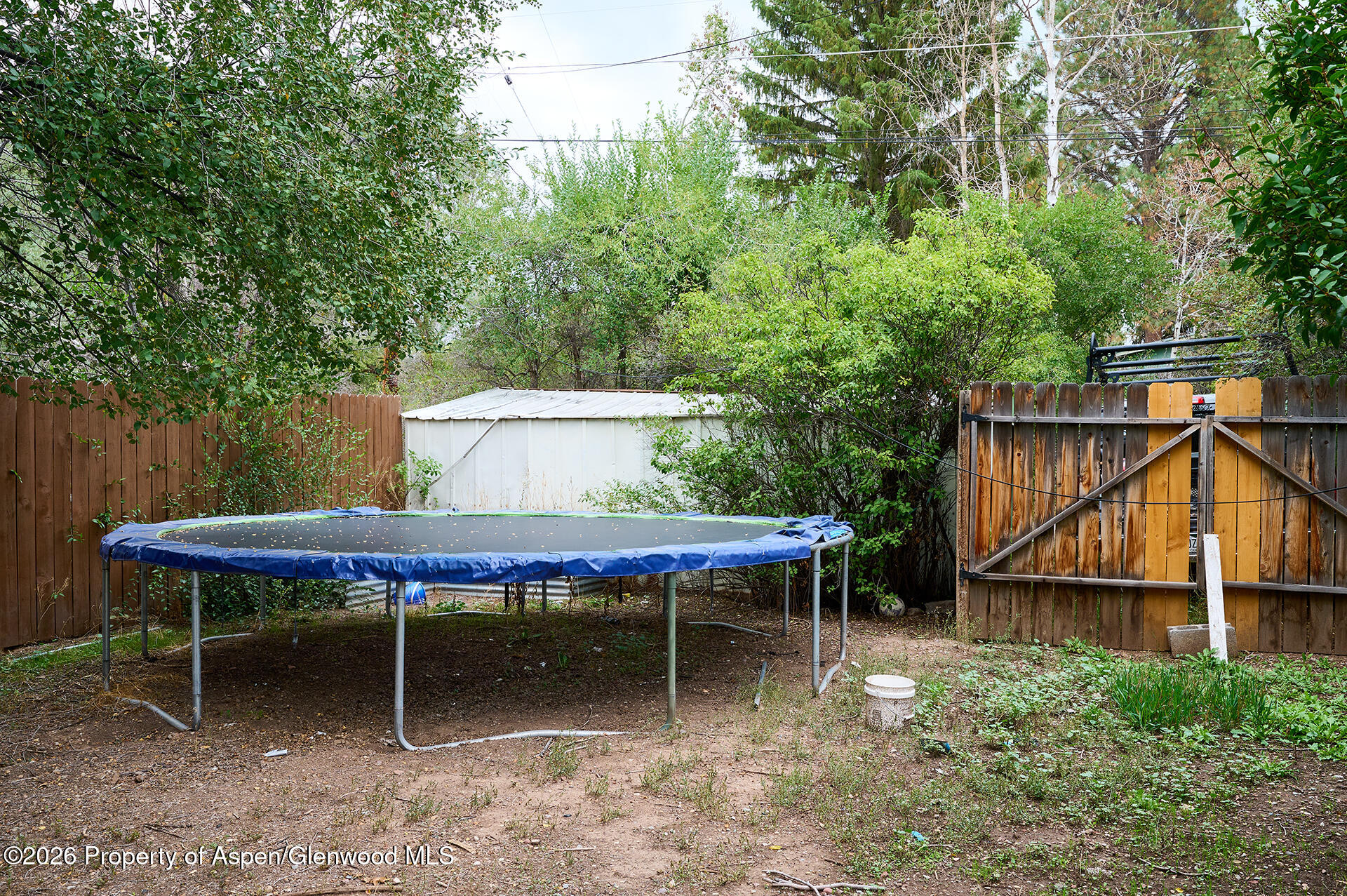 385 S 7th Street Carbondale CO 81623