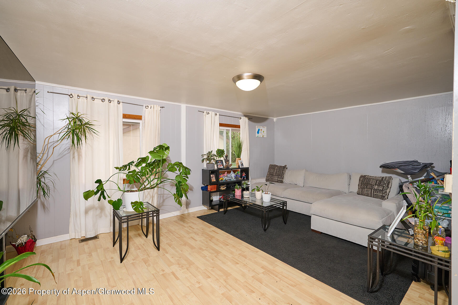 385 S 7th Street Carbondale CO 81623