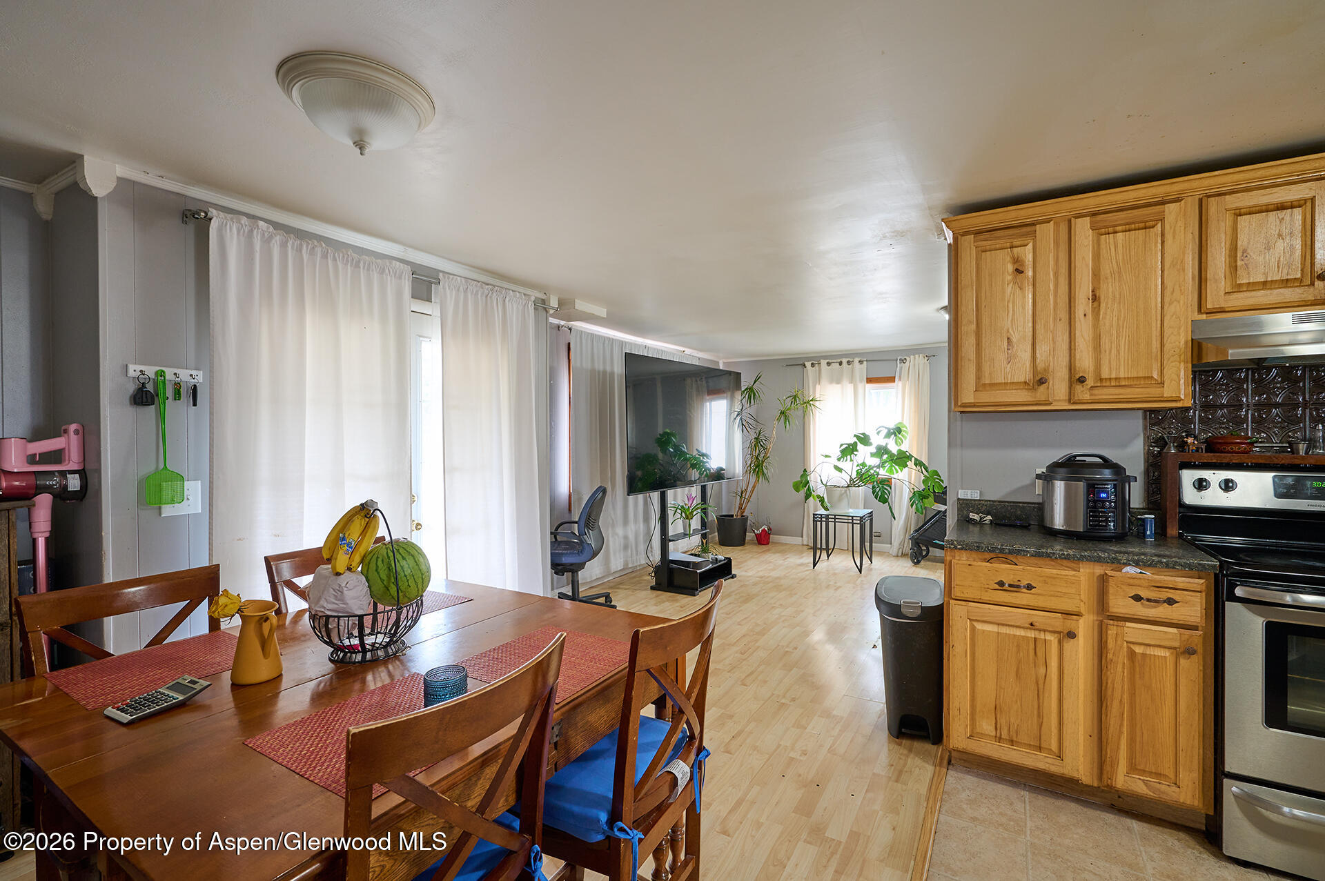 385 S 7th Street Carbondale CO 81623
