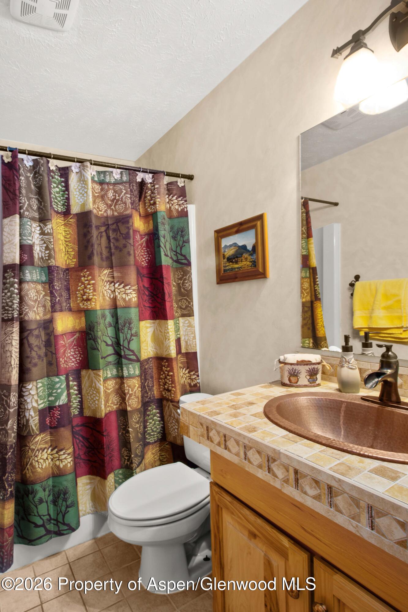 35 Deer Park Court Glenwood Springs CO 81601