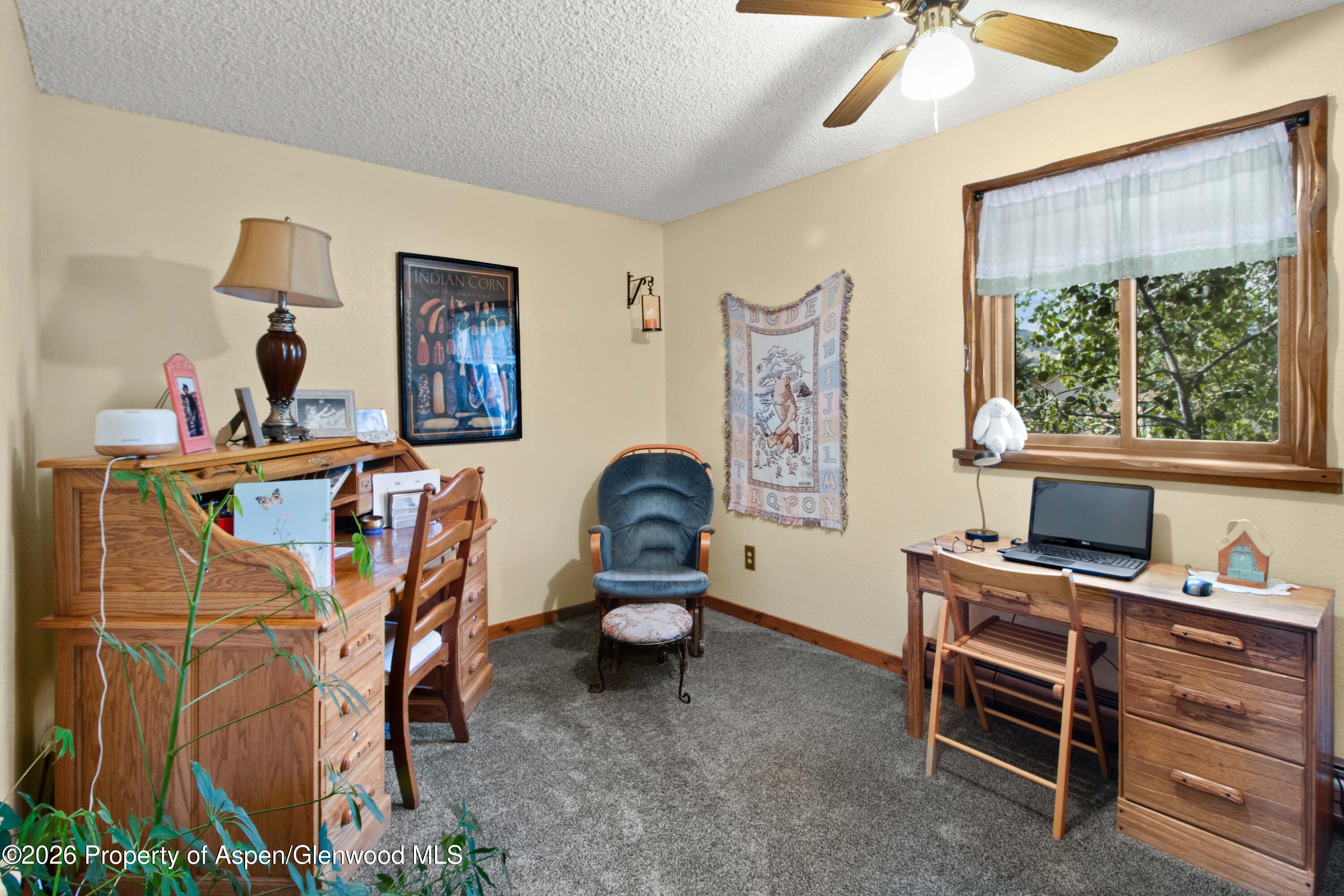 35 Deer Park Court Glenwood Springs CO 81601