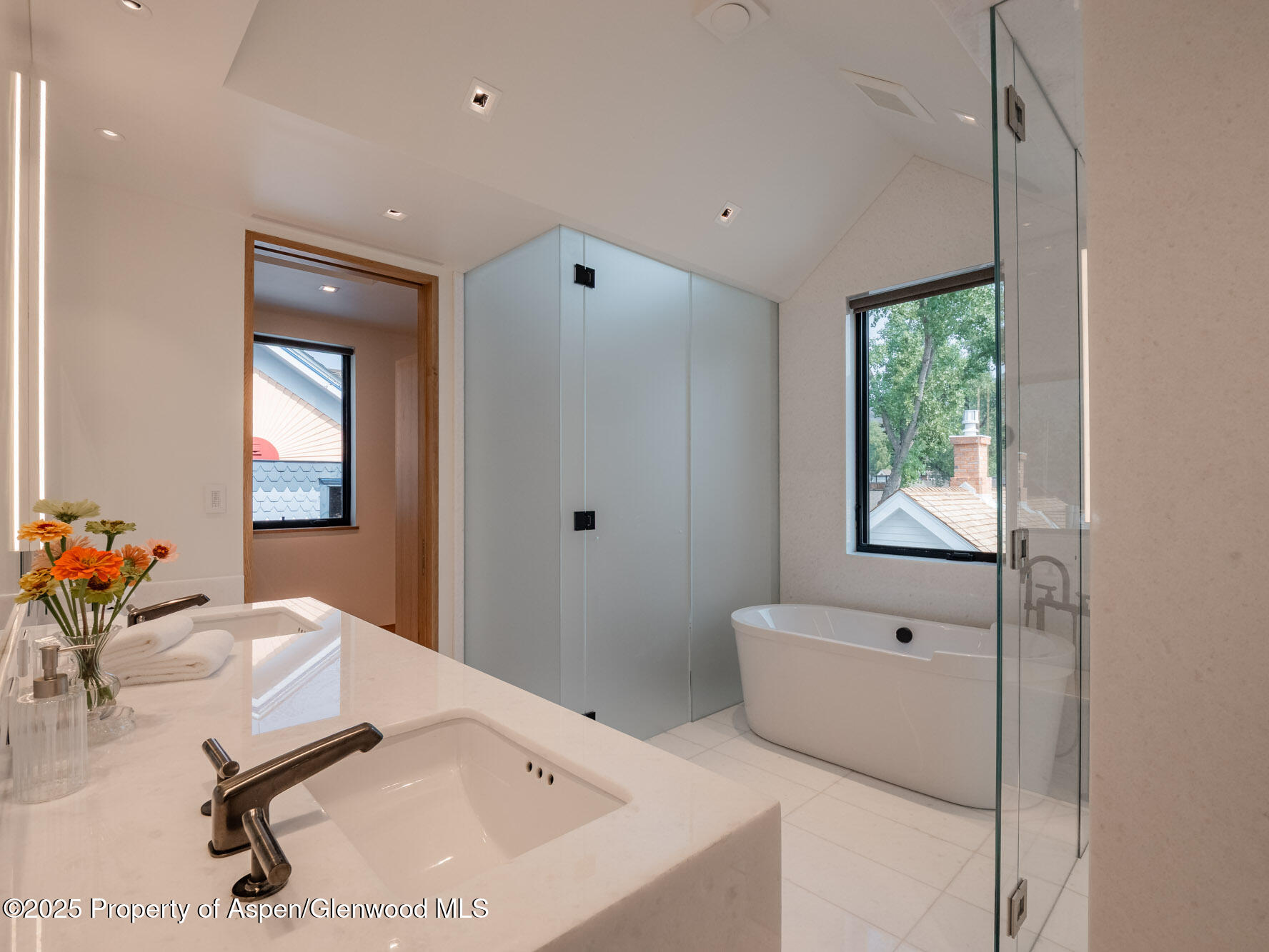 227 E Main Street Aspen CO 81611