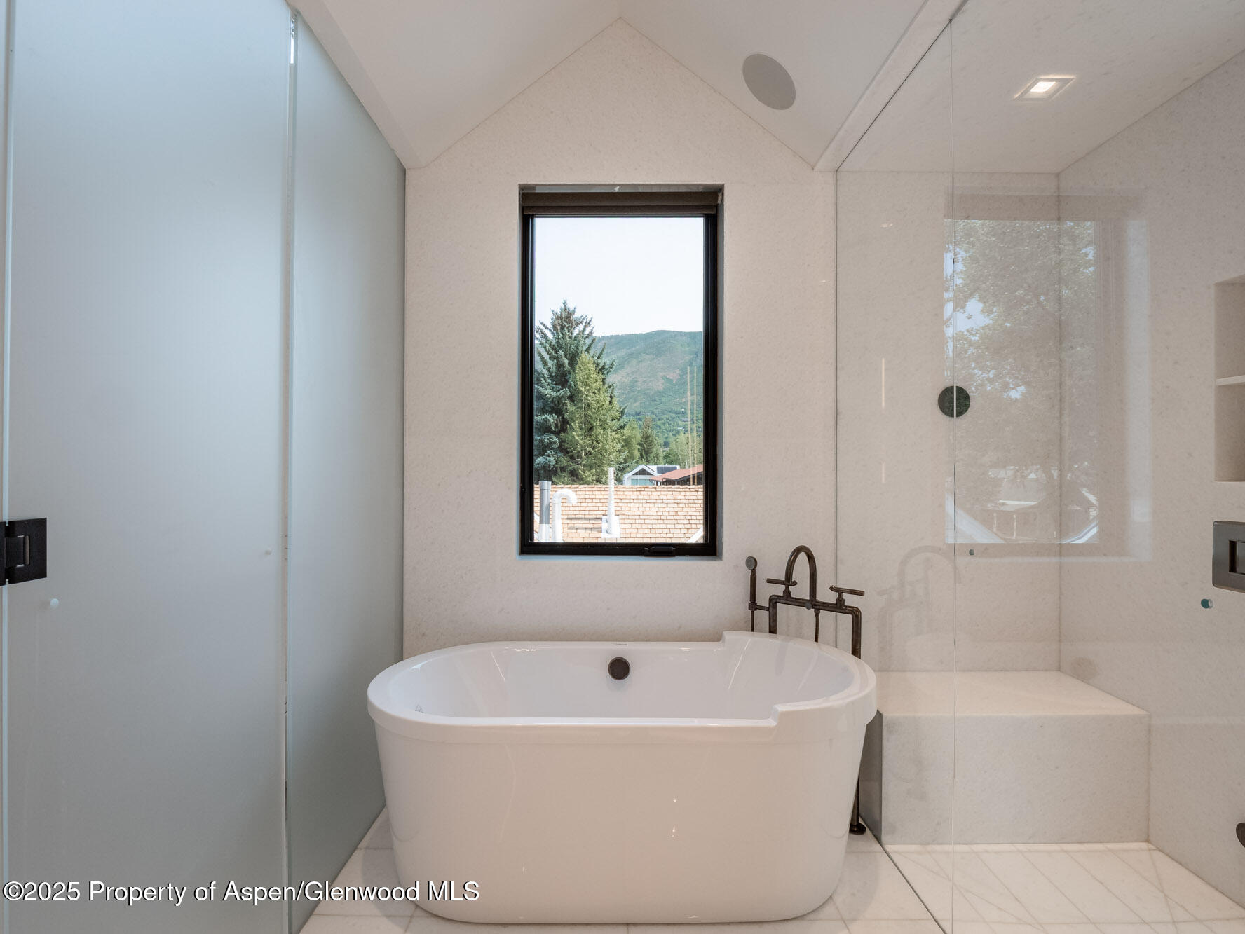 227 E Main Street Aspen CO 81611