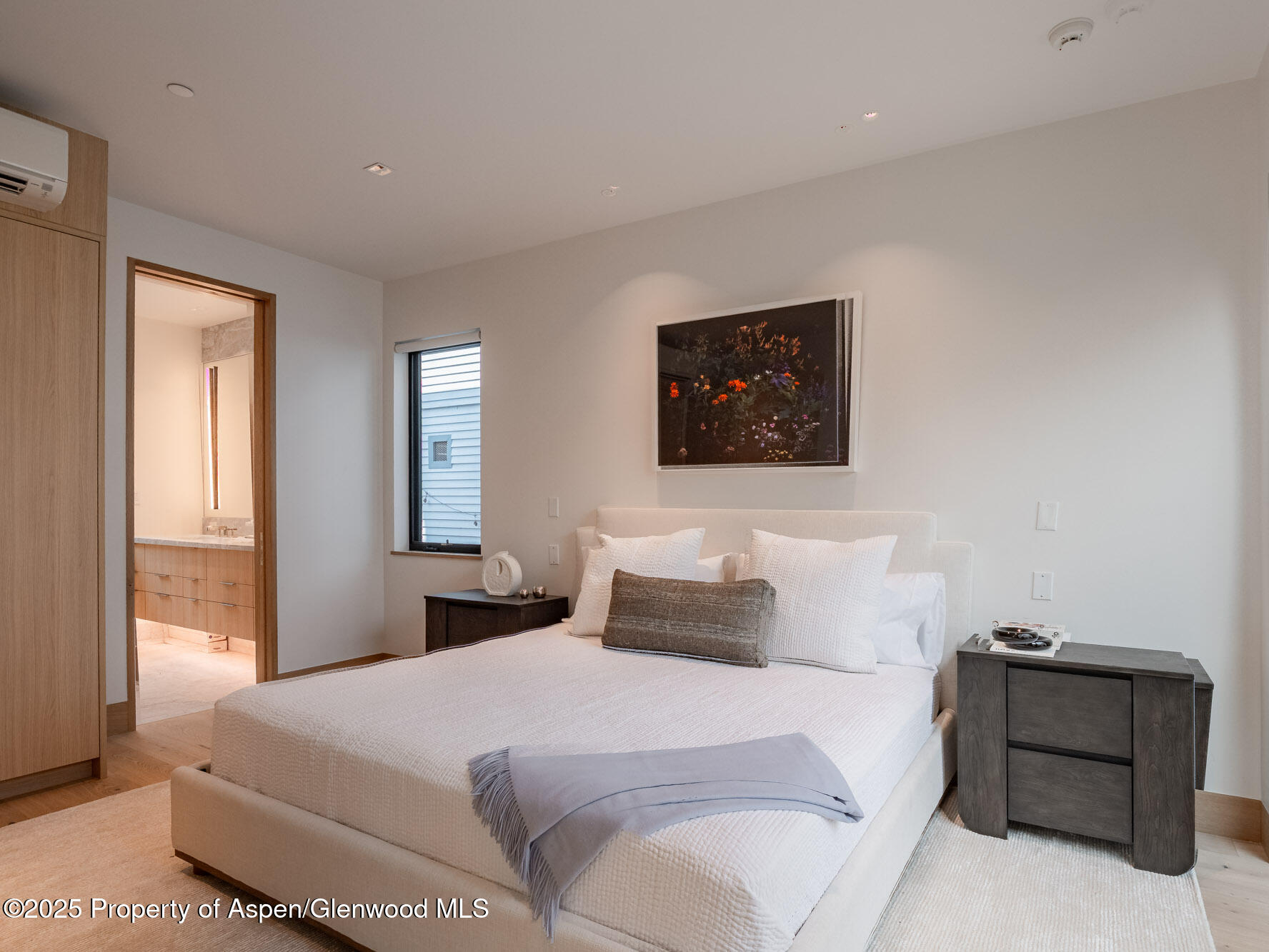 227 E Main Street Aspen CO 81611