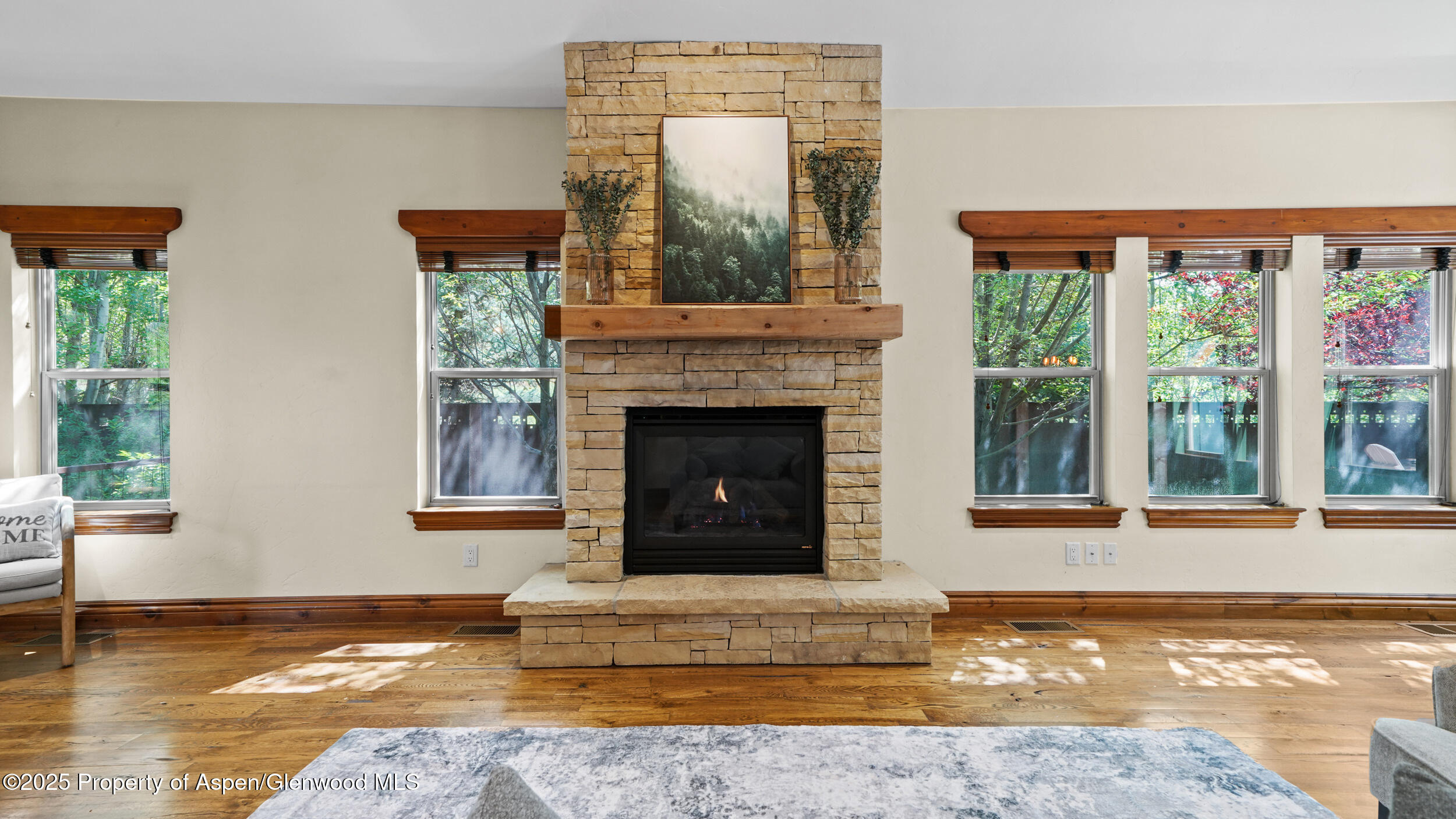 225 Juniper Court Basalt CO 81621