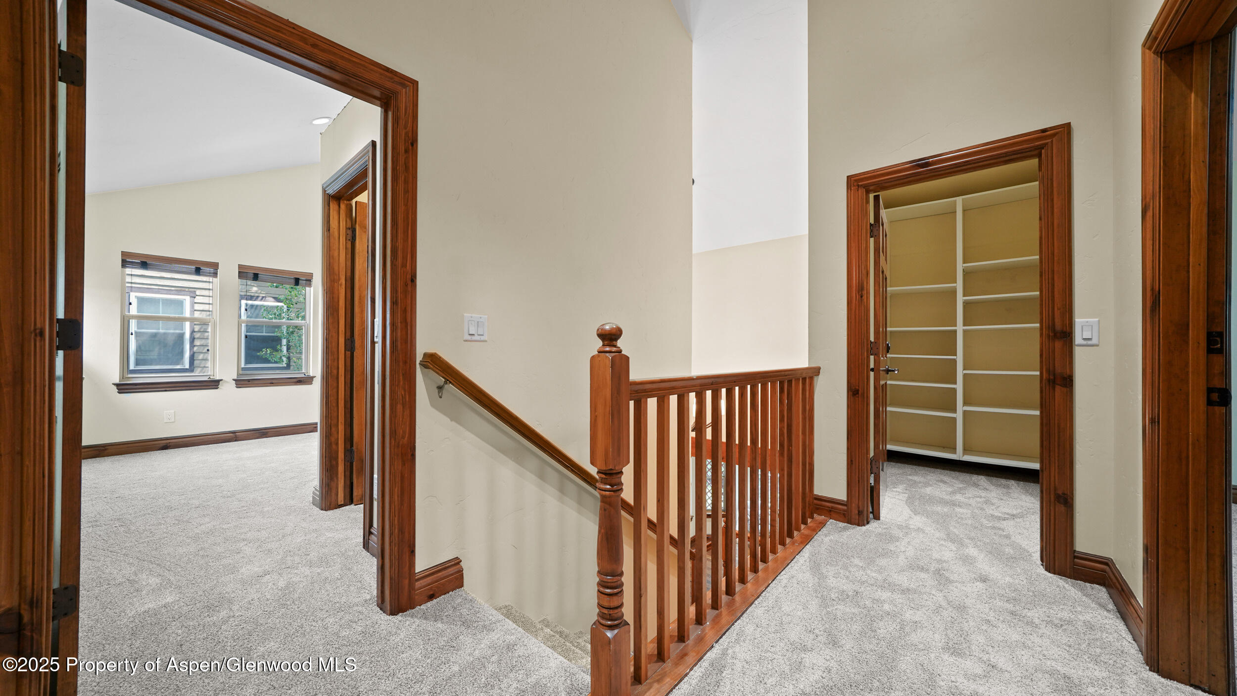 225 Juniper Court Basalt CO 81621