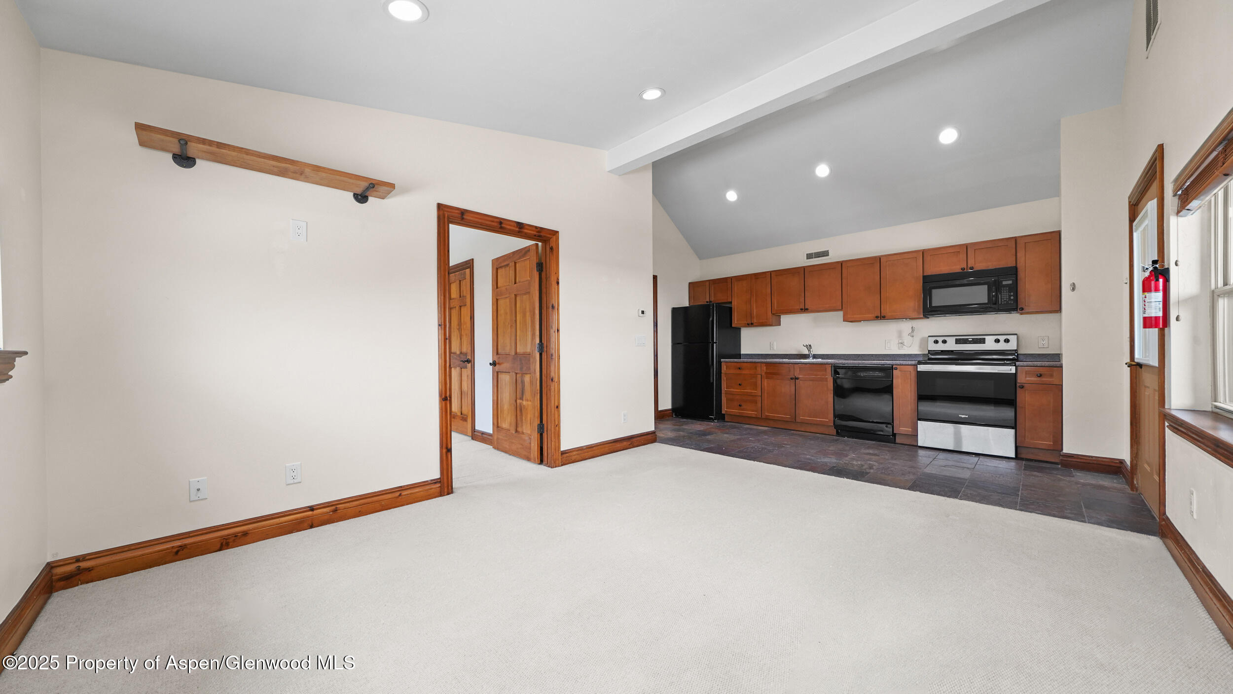 225 Juniper Court Basalt CO 81621