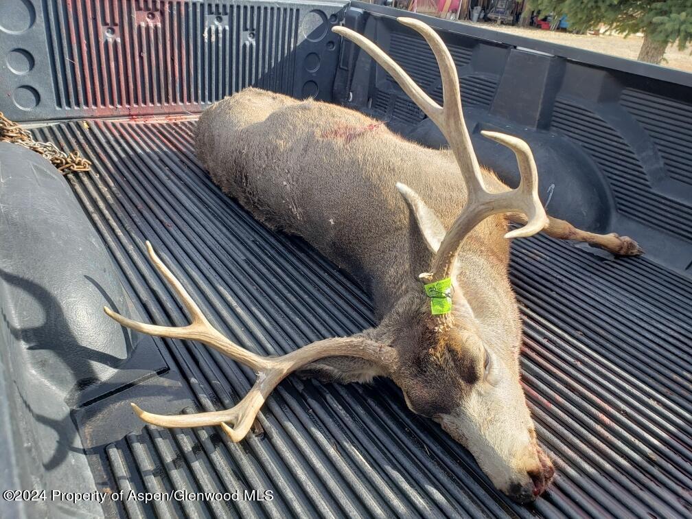 26101 Highway 141 Whitewater CO 81527