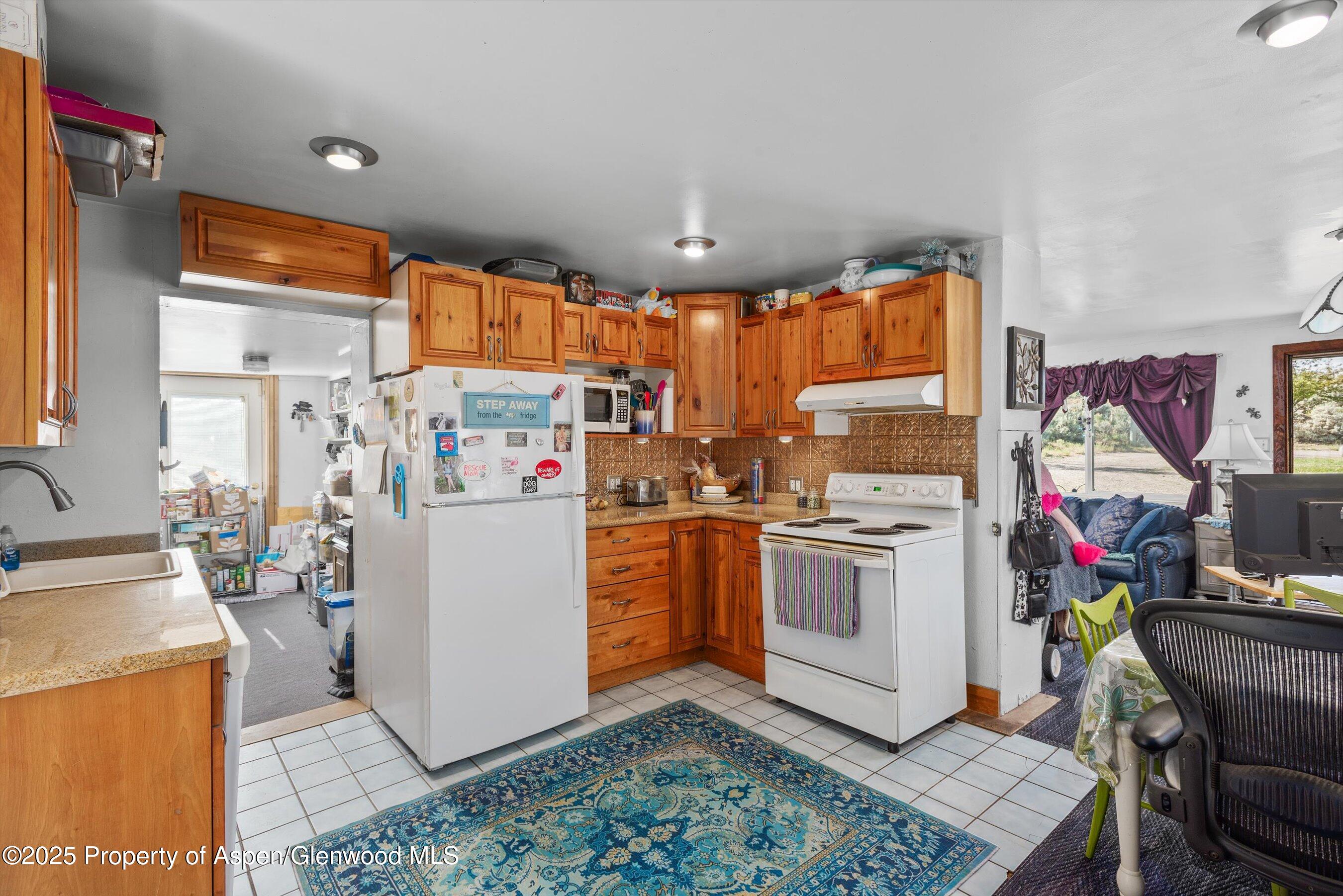 0488 Skipper Drive Carbondale CO 81623