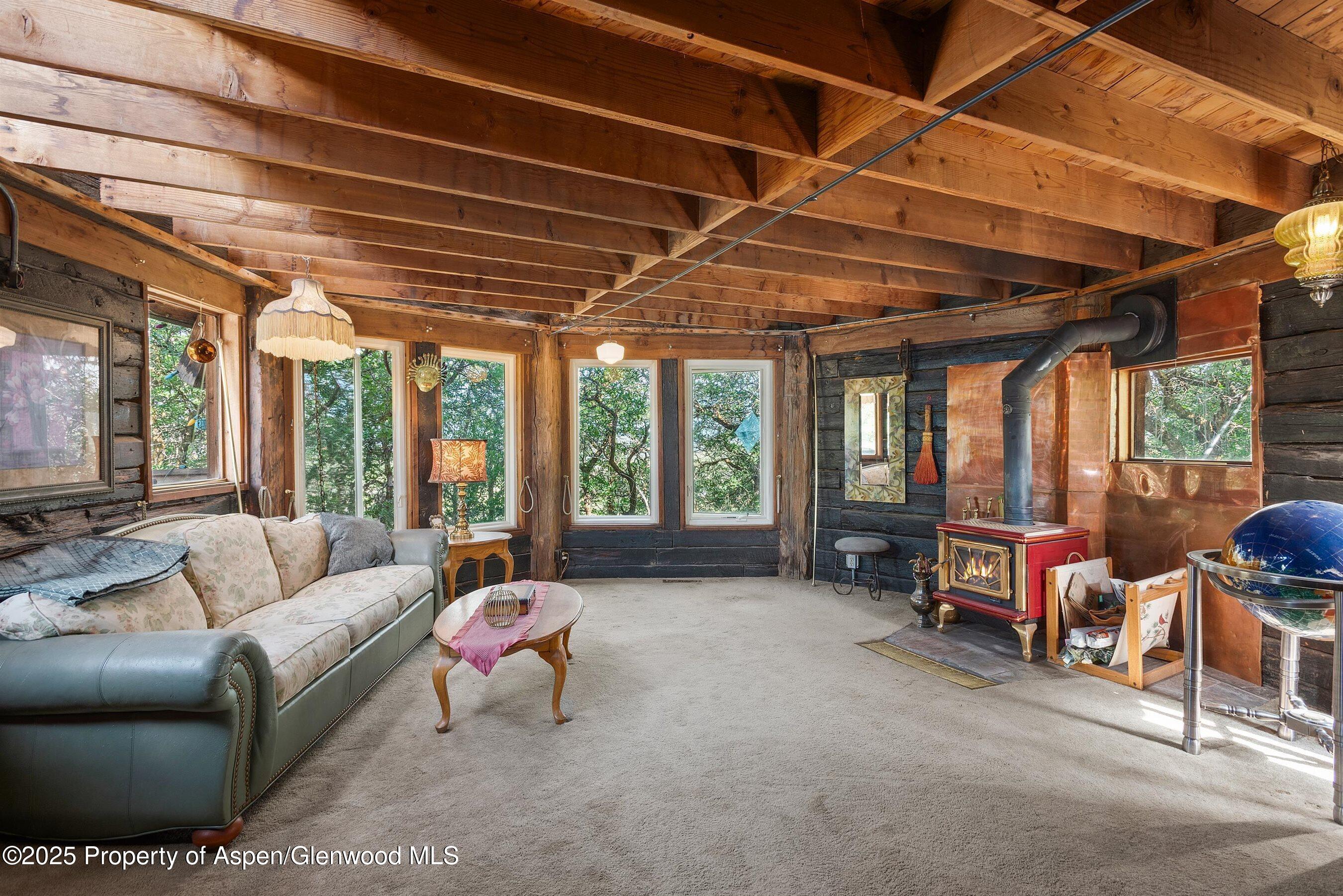 0488 Skipper Drive Carbondale CO 81623