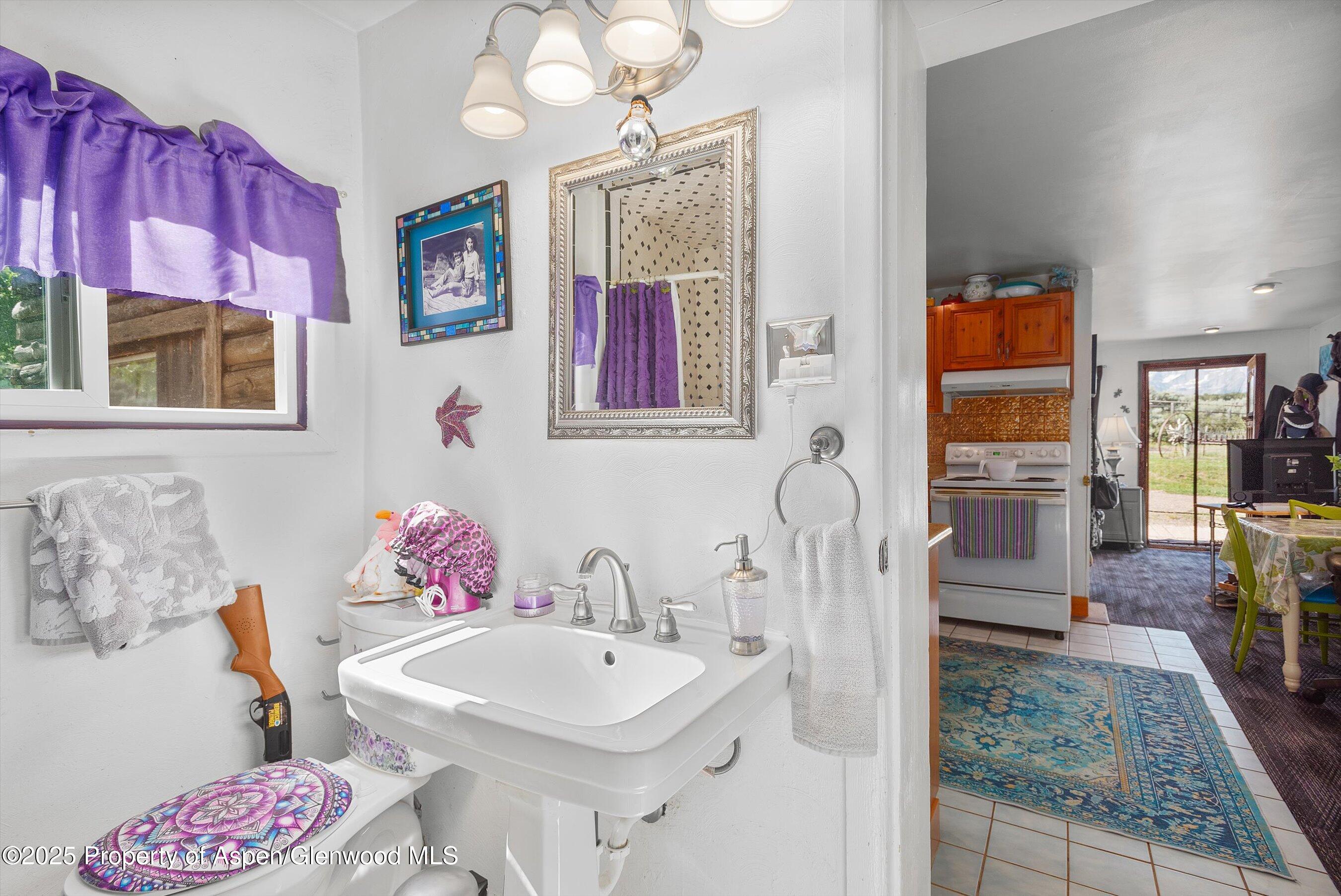 0488 Skipper Drive Carbondale CO 81623