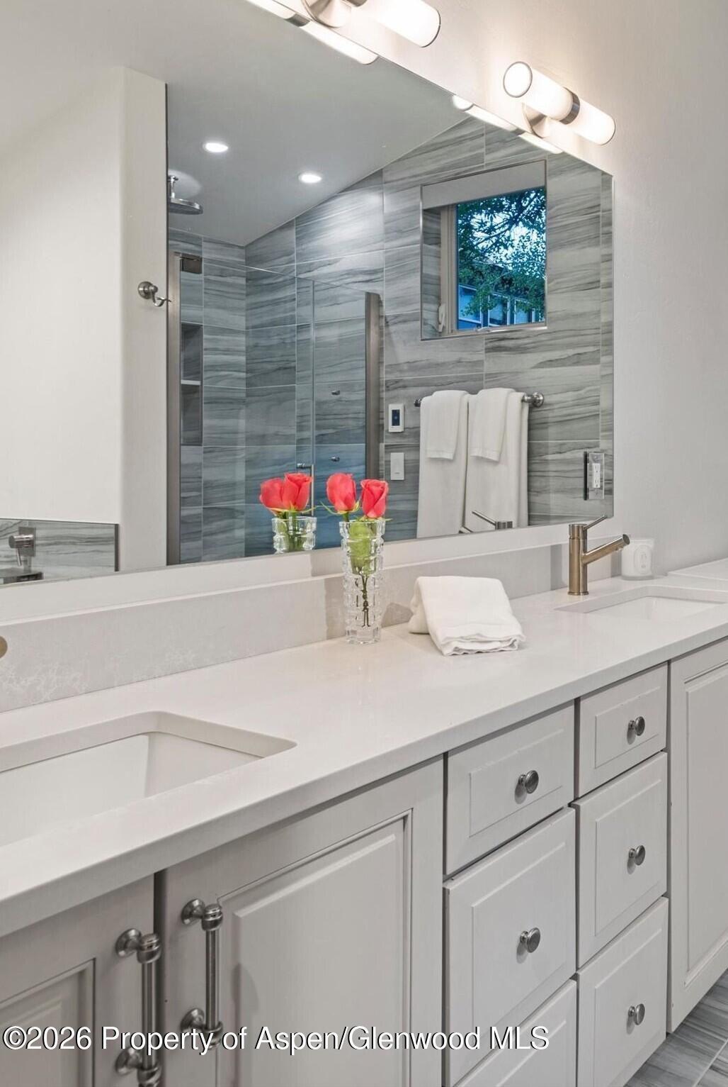 405 Meadow Court Basalt CO 81621