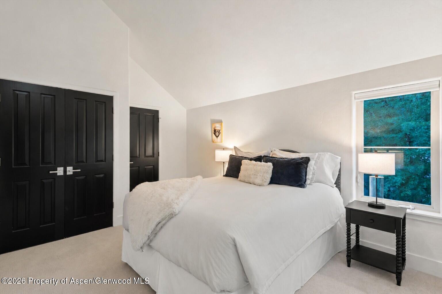405 Meadow Court Basalt CO 81621