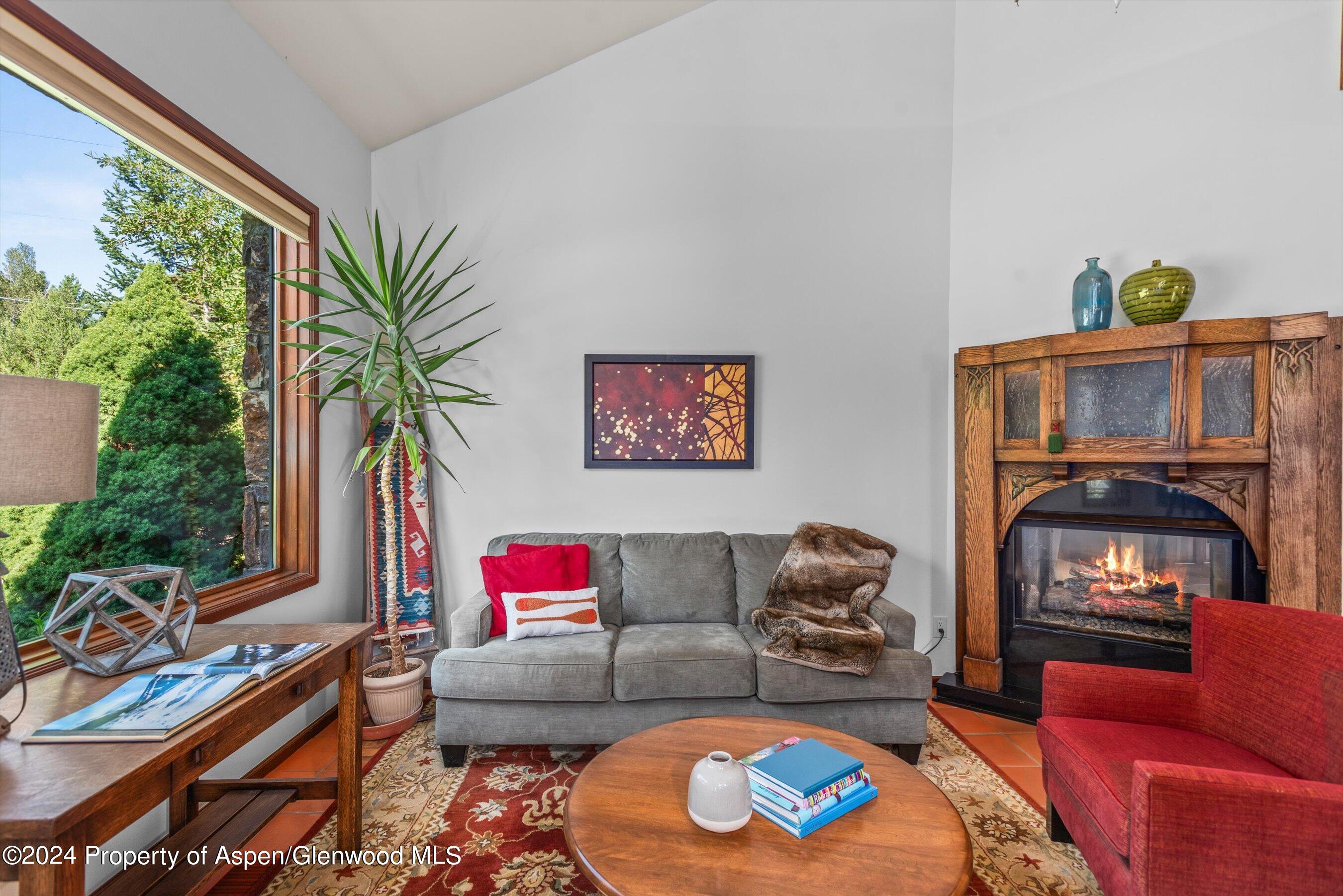 160 Pine Street Carbondale CO 81623
