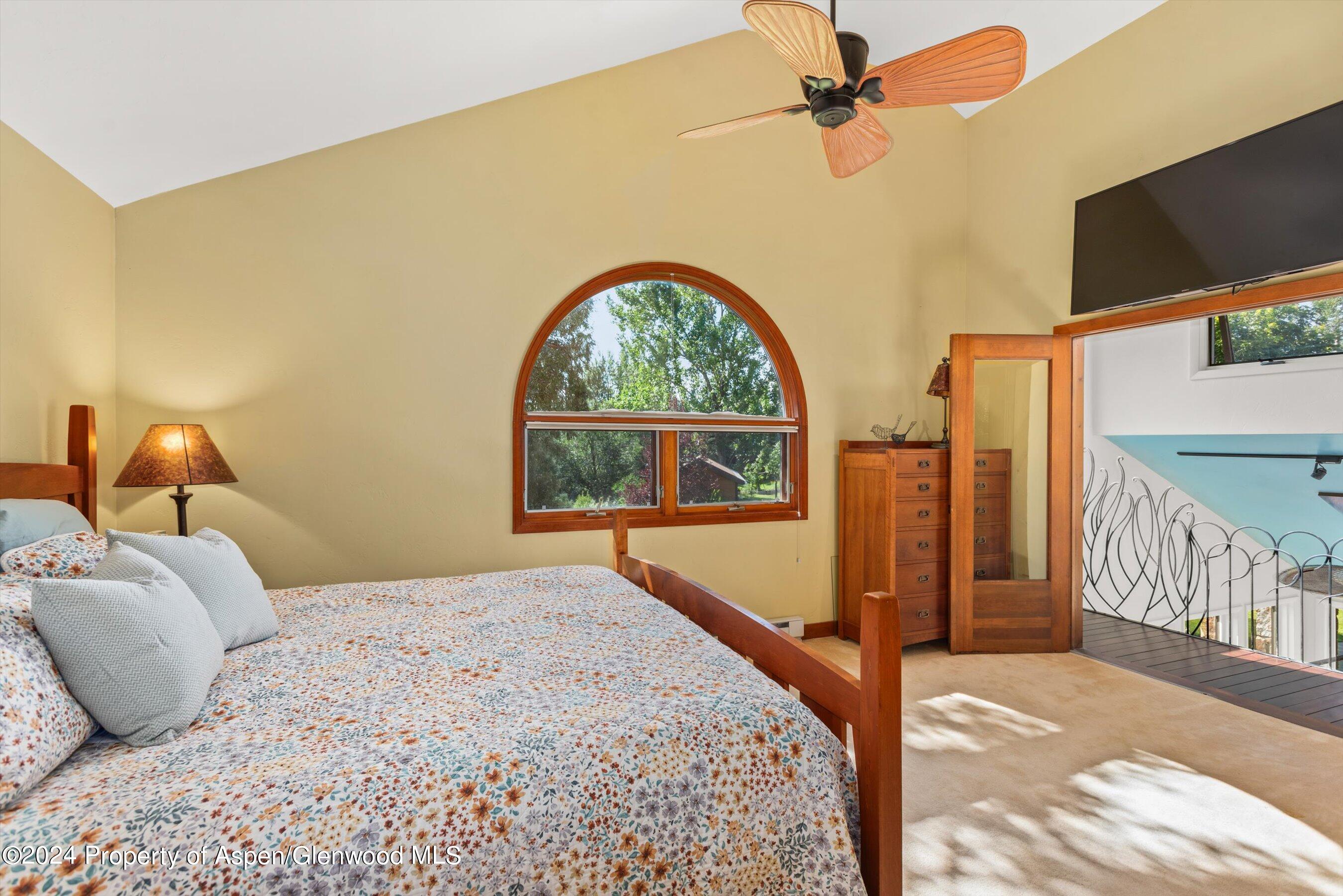 160 Pine Street Carbondale CO 81623