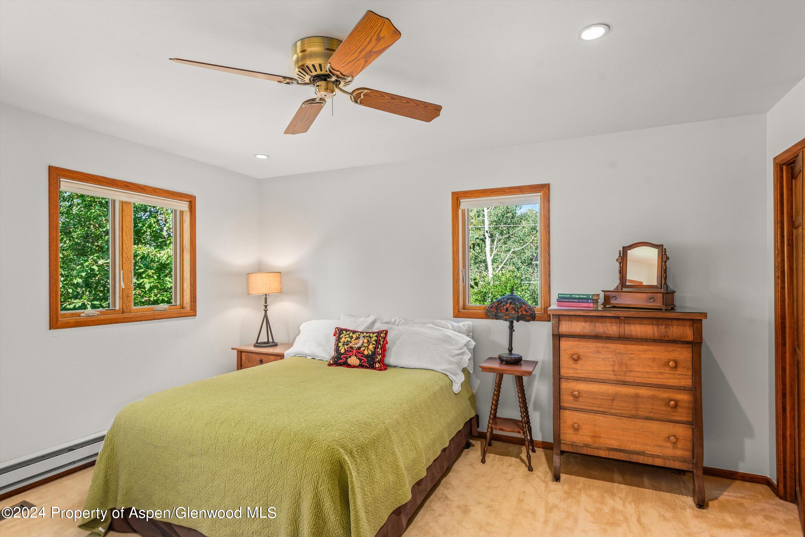 160 Pine Street Carbondale CO 81623
