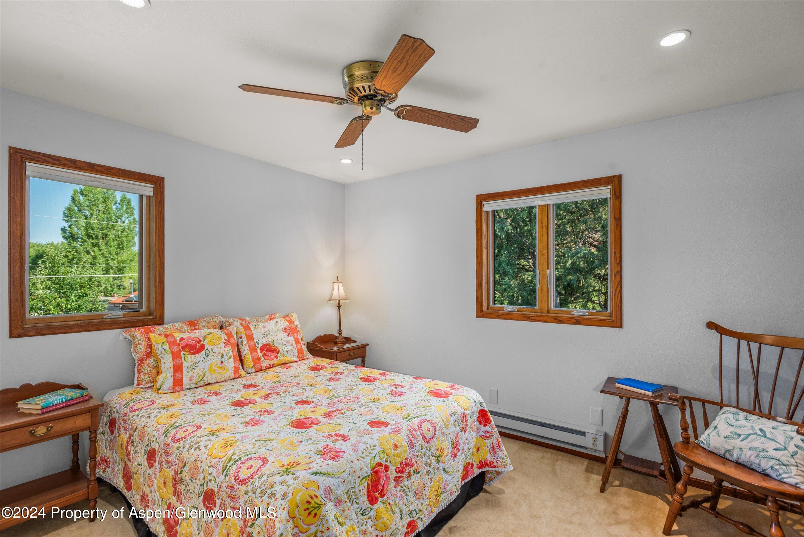 160 Pine Street Carbondale CO 81623