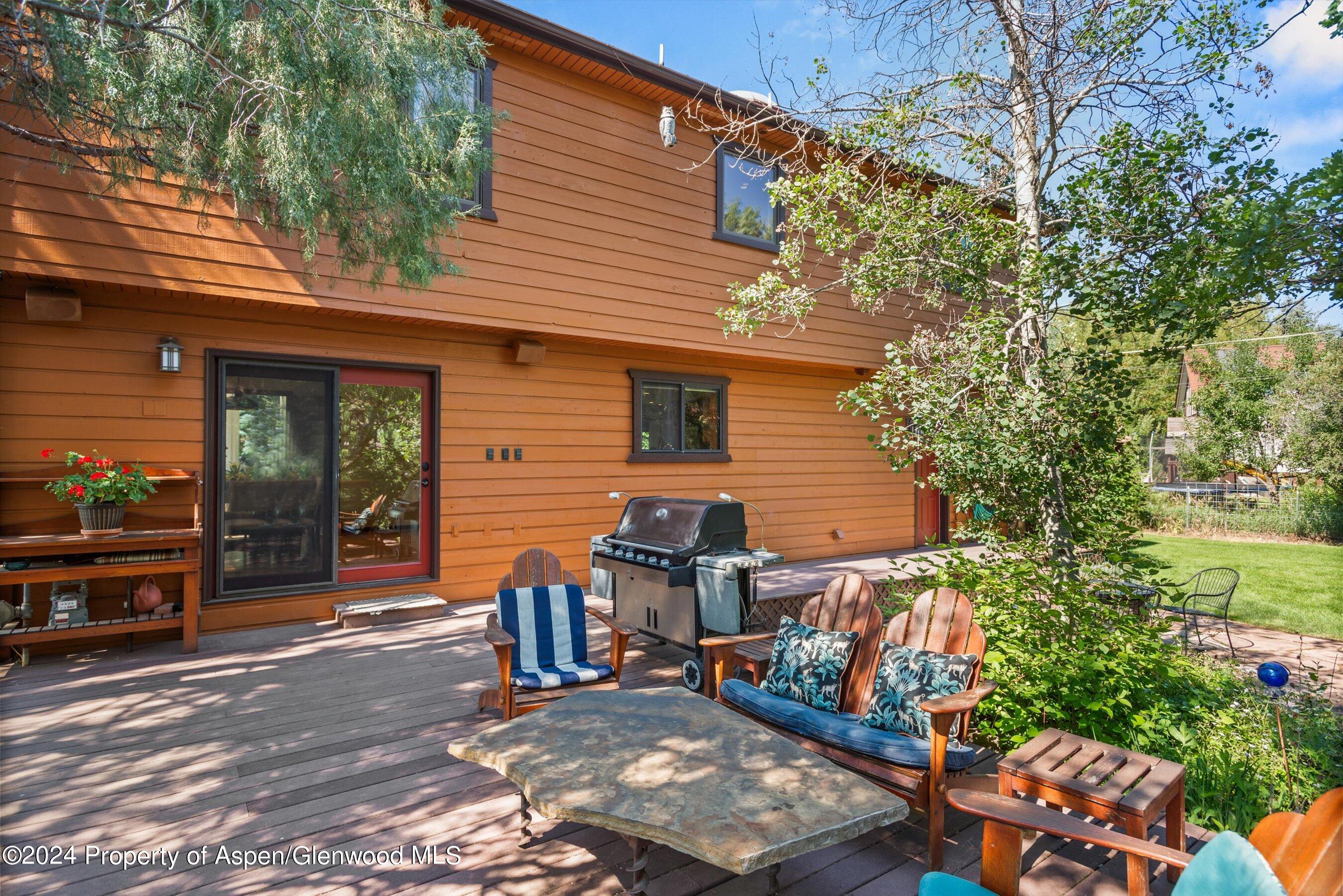 160 Pine Street Carbondale CO 81623