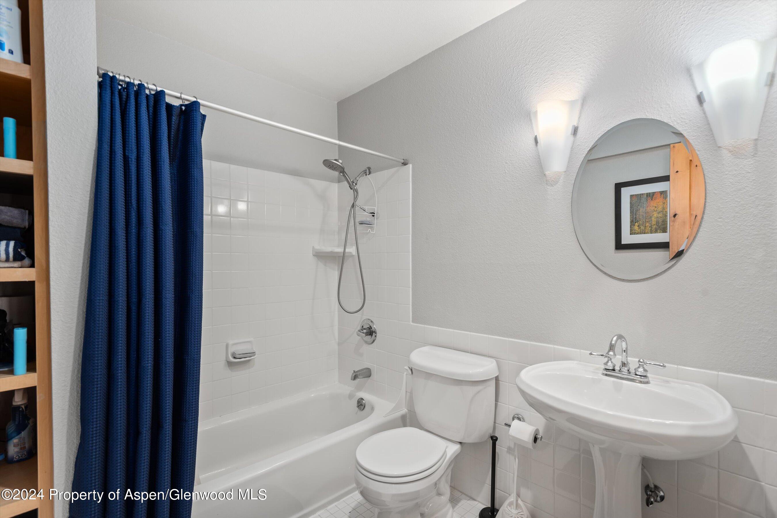 131 Fawn Drive Carbondale CO 81623