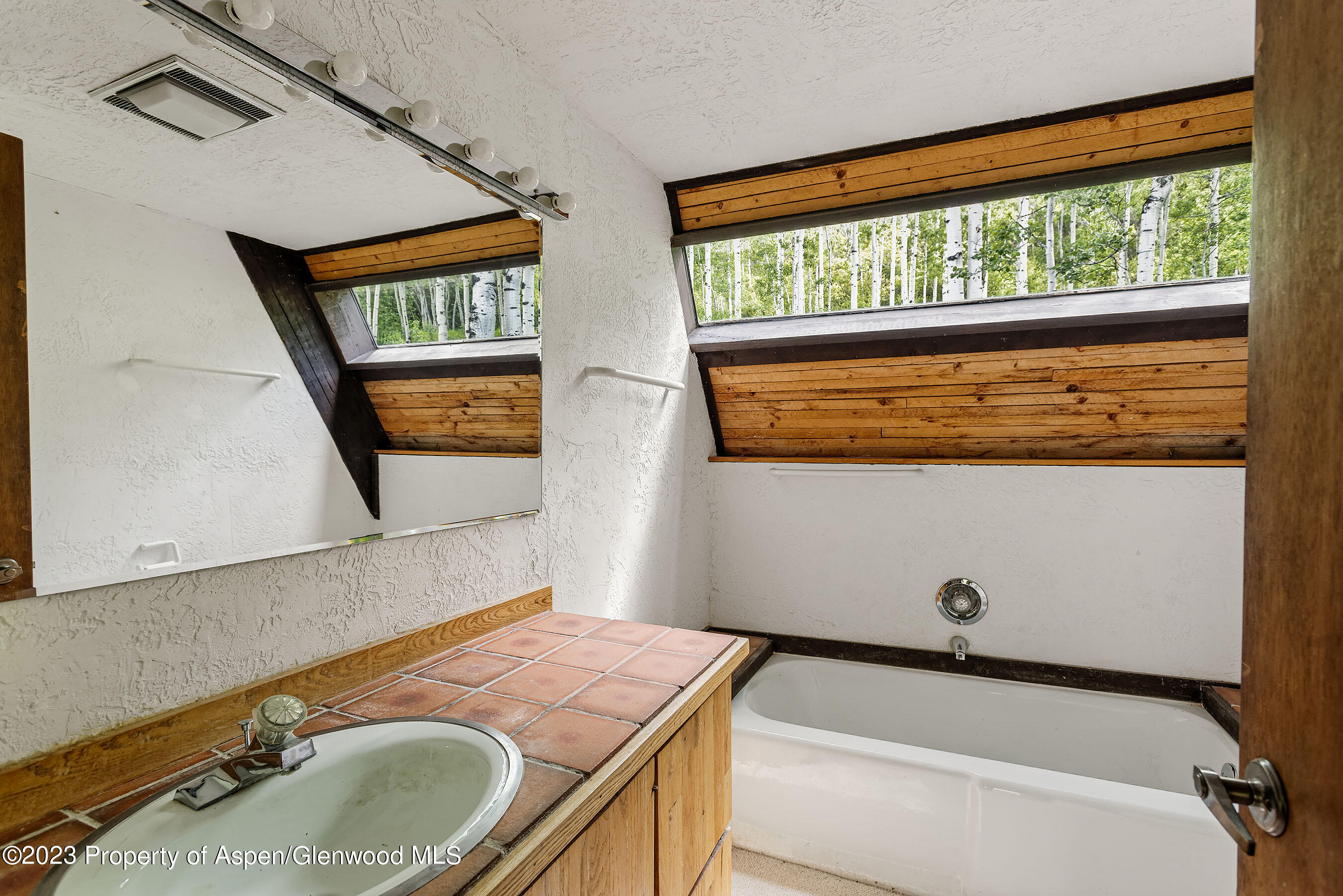 563 Mountain Laurel Drive Aspen CO 81611