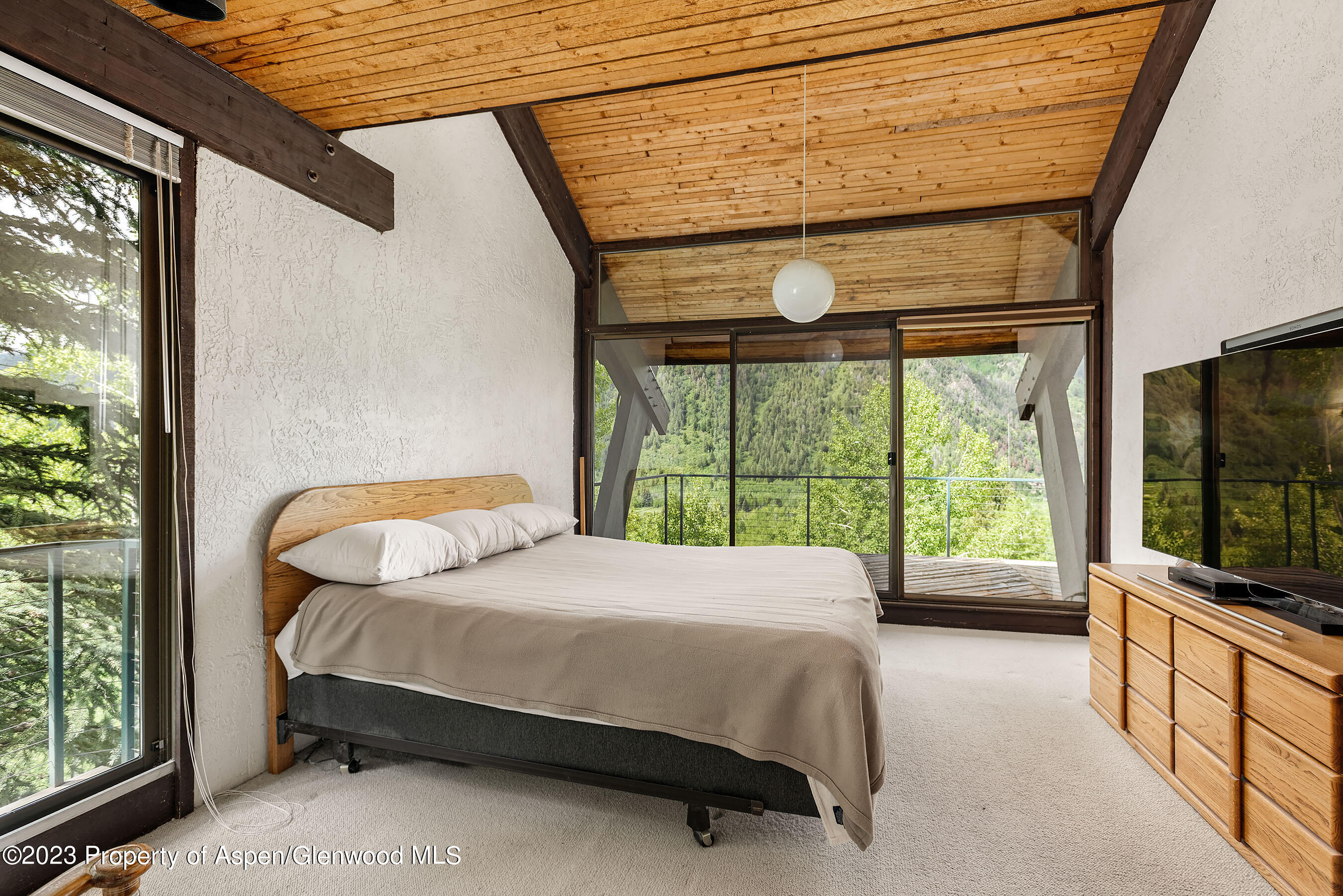 563 Mountain Laurel Drive Aspen CO 81611