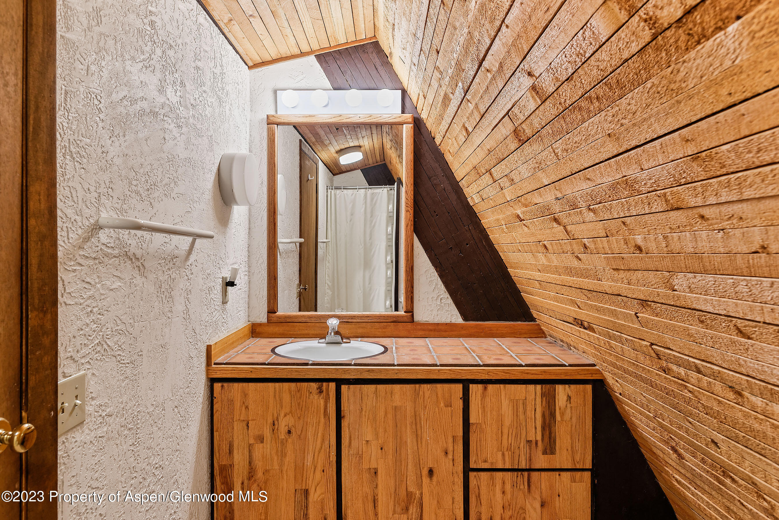 563 Mountain Laurel Drive Aspen CO 81611