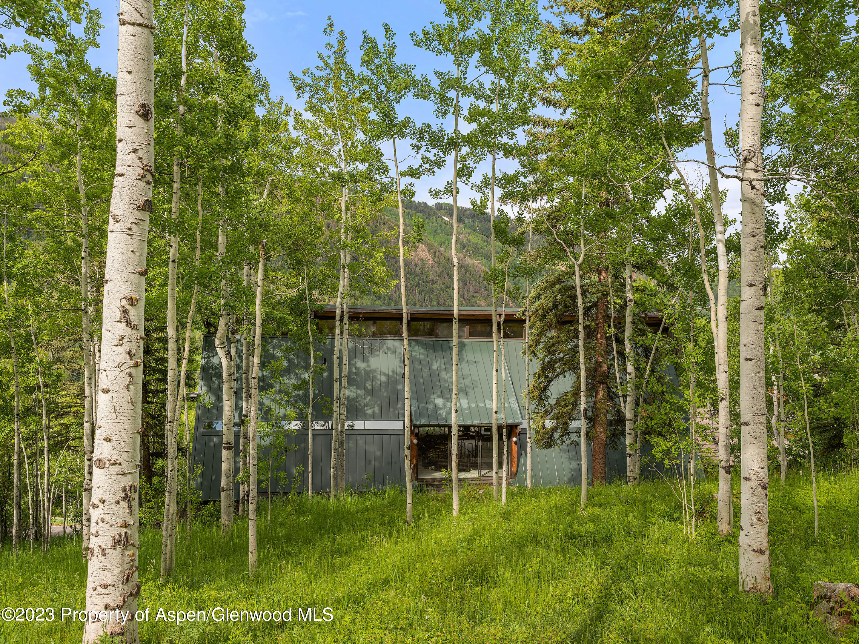 563 Mountain Laurel Drive Aspen CO 81611