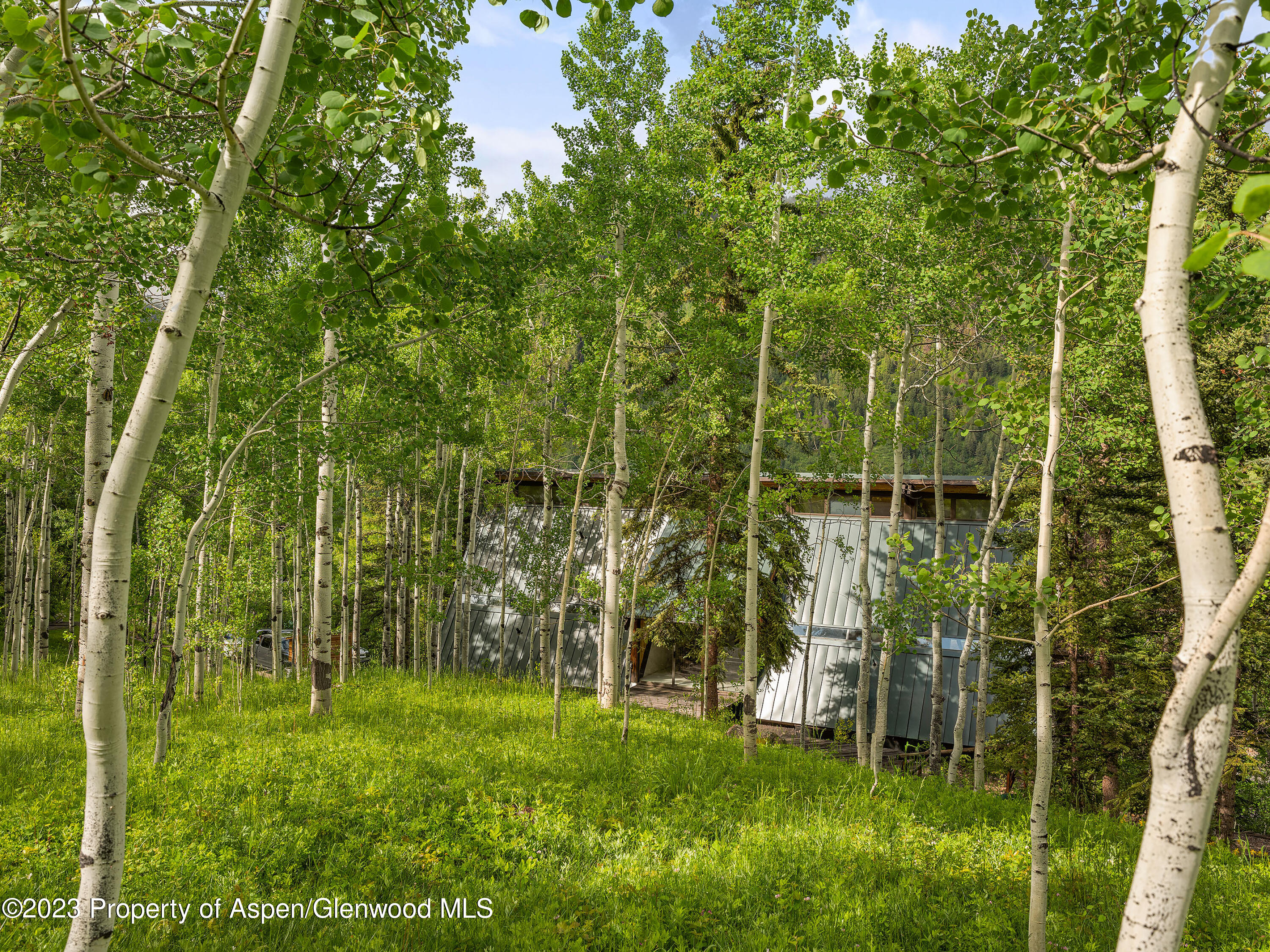 563 Mountain Laurel Drive Aspen CO 81611