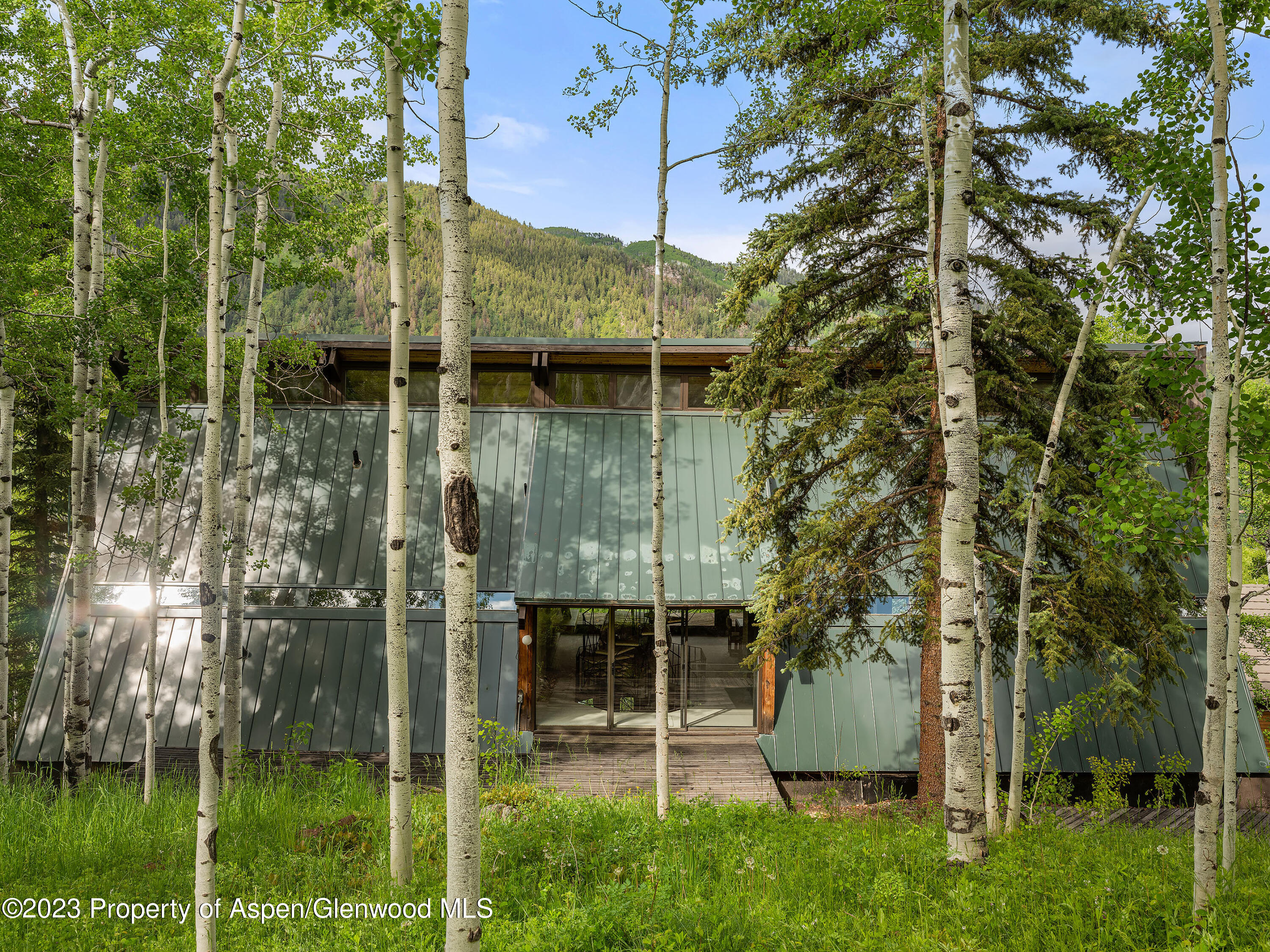 563 Mountain Laurel Drive Aspen CO 81611