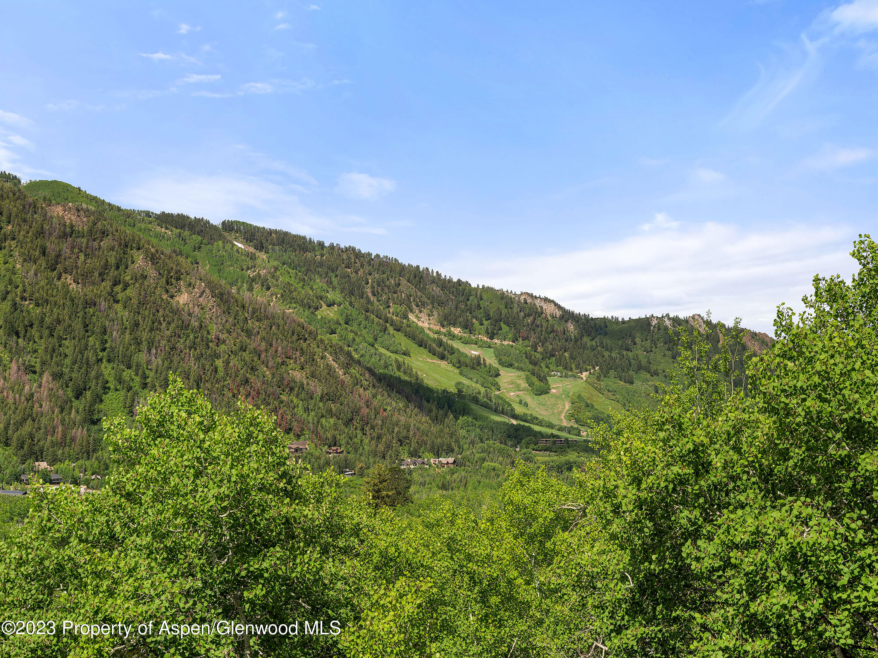 563 Mountain Laurel Drive Aspen CO 81611