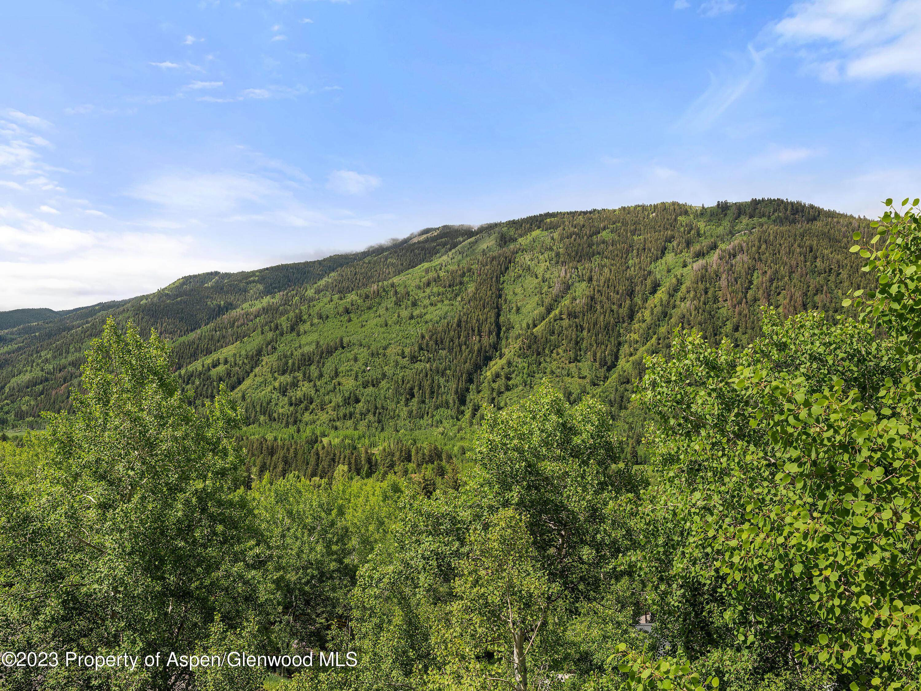 563 Mountain Laurel Drive Aspen CO 81611