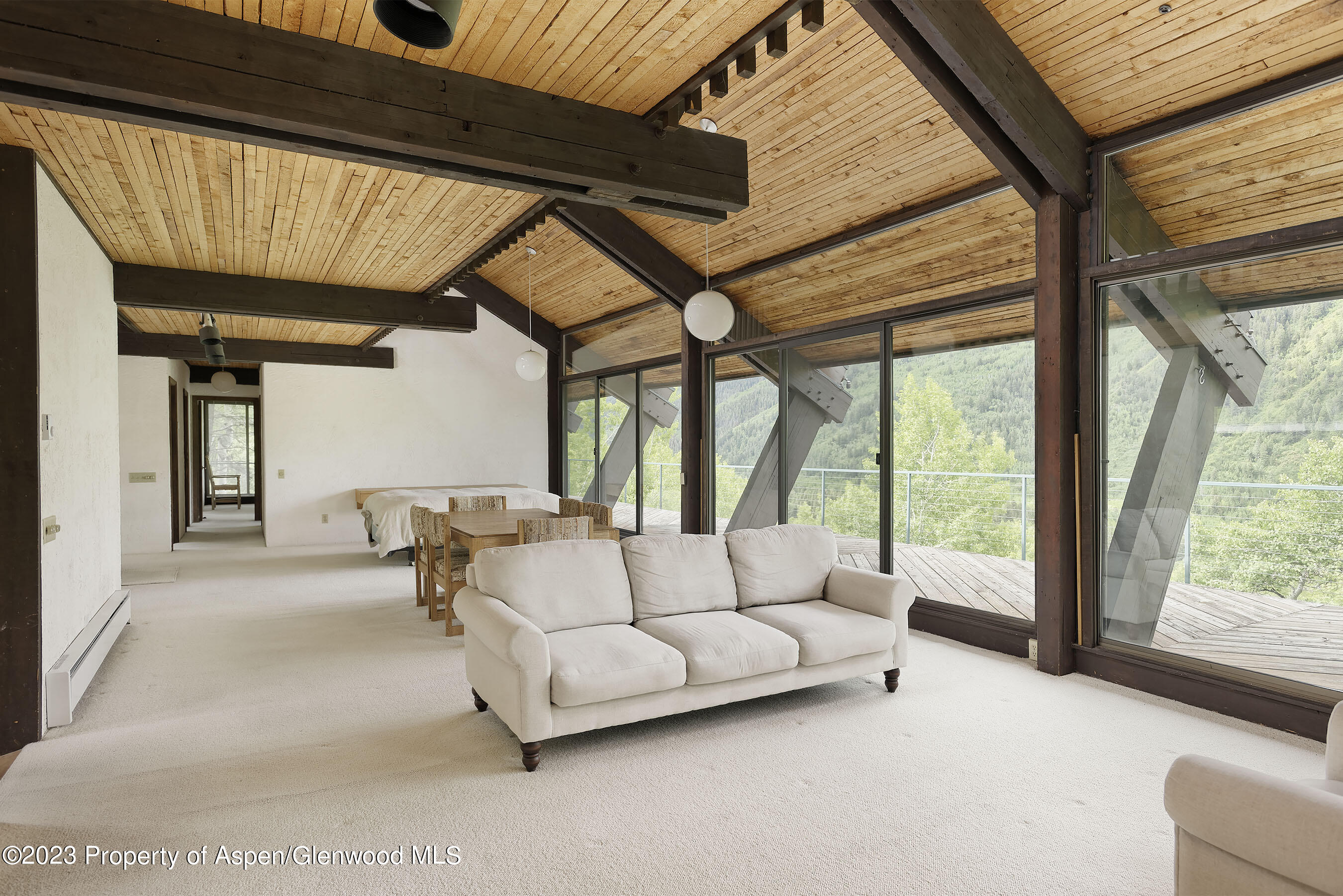 563 Mountain Laurel Drive Aspen CO 81611