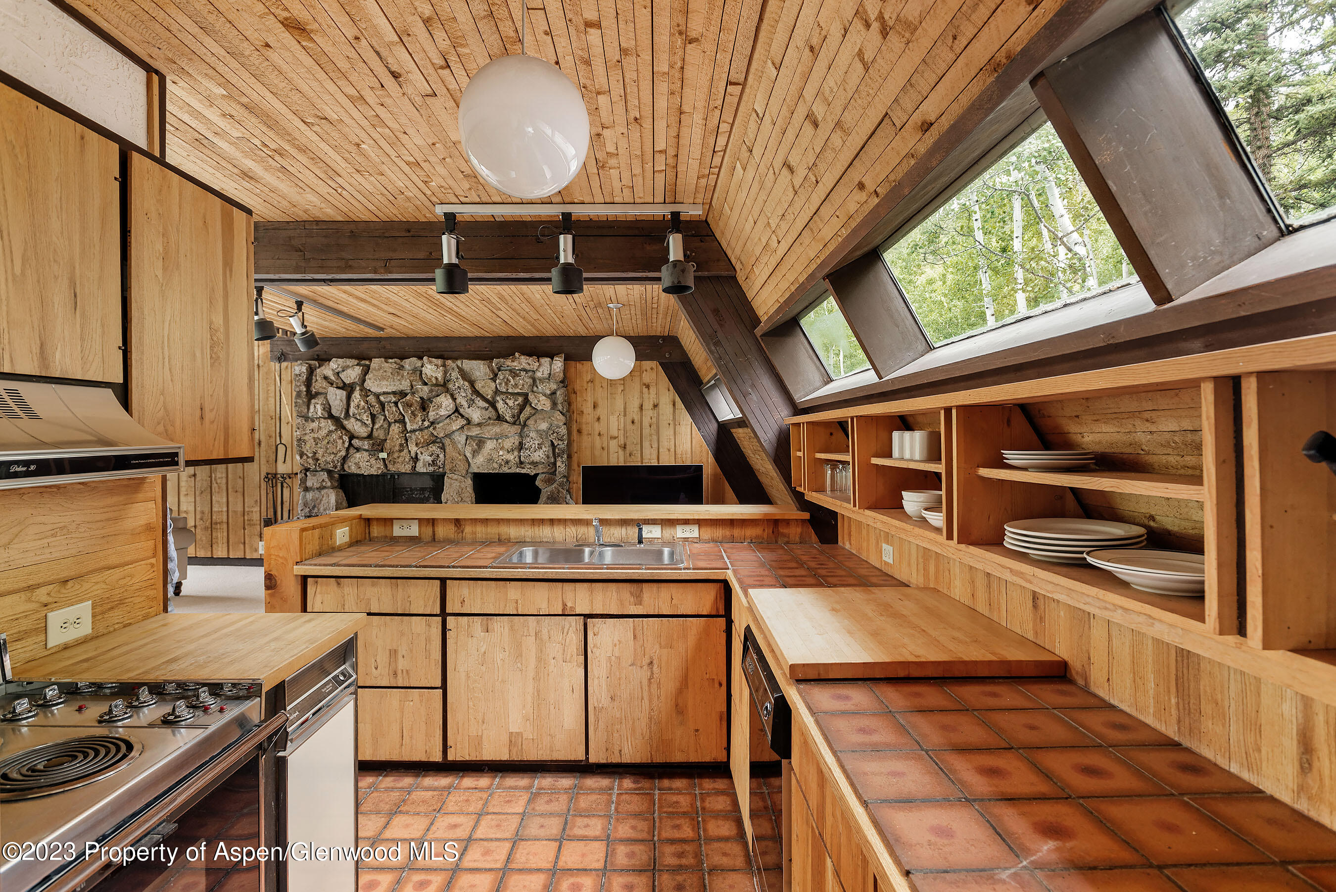 563 Mountain Laurel Drive Aspen CO 81611