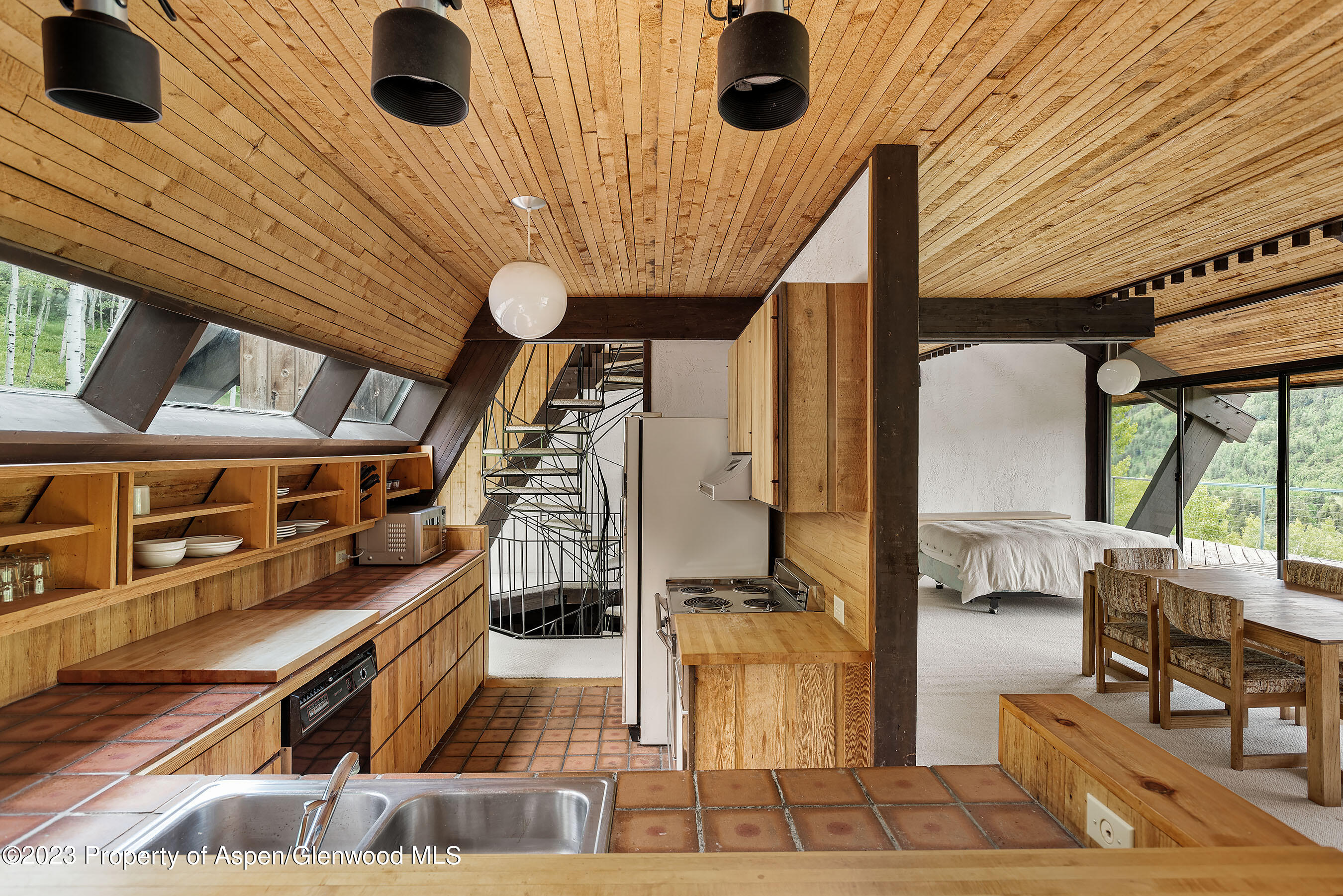 563 Mountain Laurel Drive Aspen CO 81611