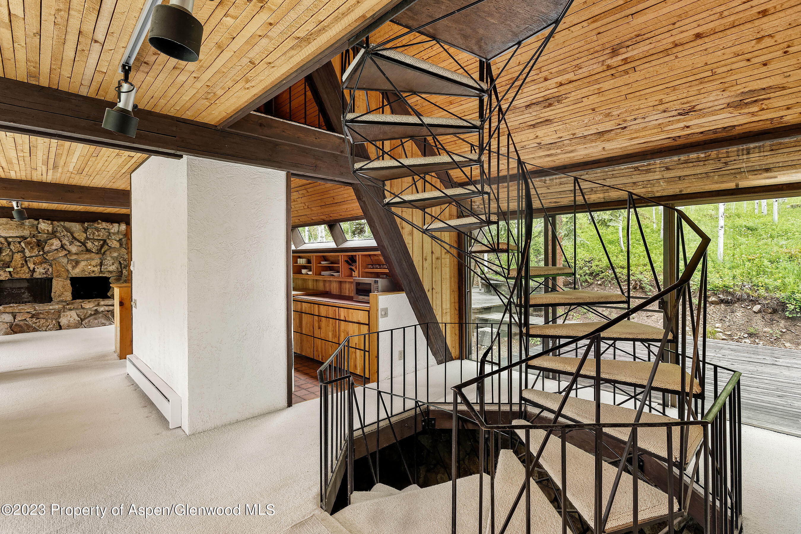 563 Mountain Laurel Drive Aspen CO 81611