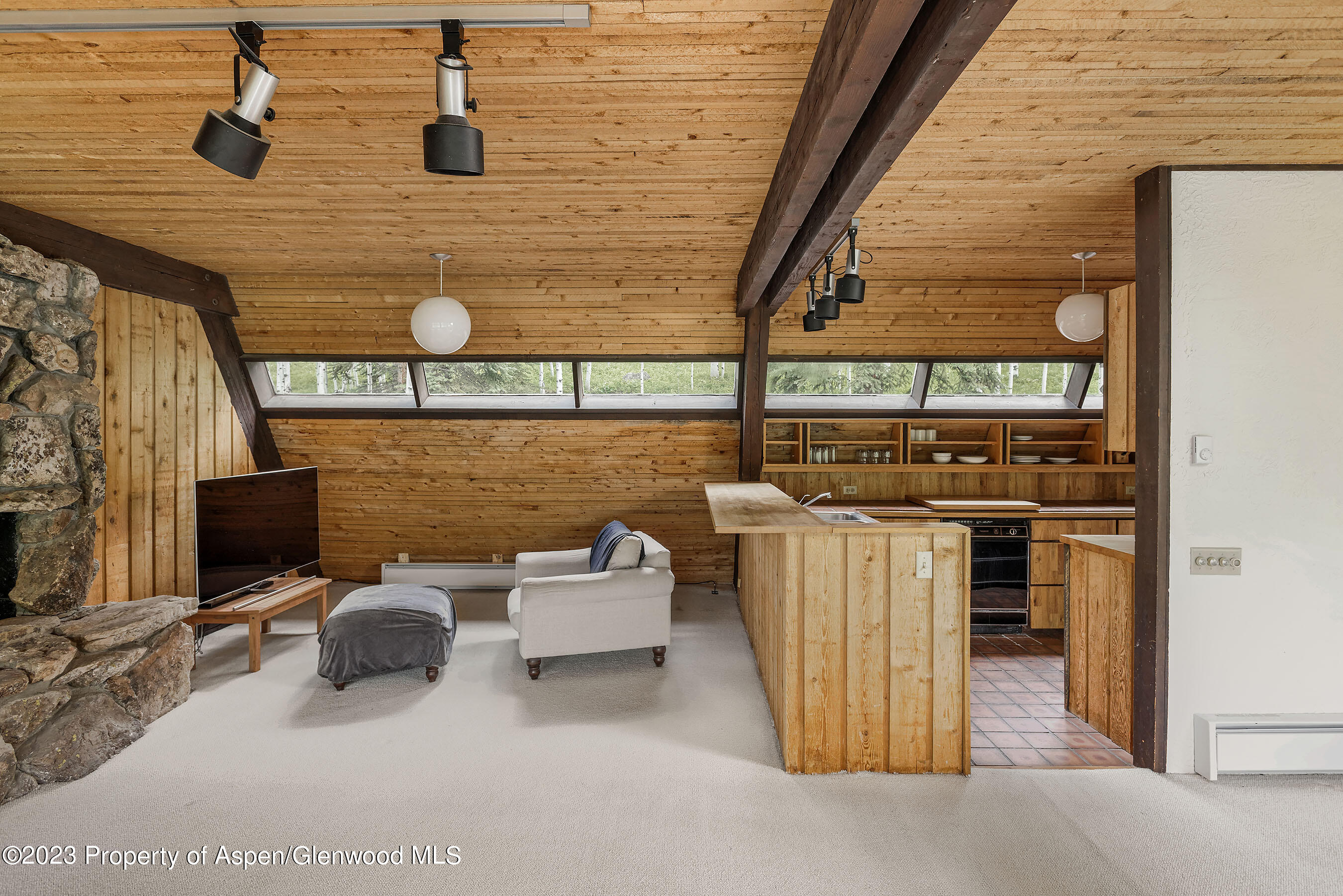 563 Mountain Laurel Drive Aspen CO 81611