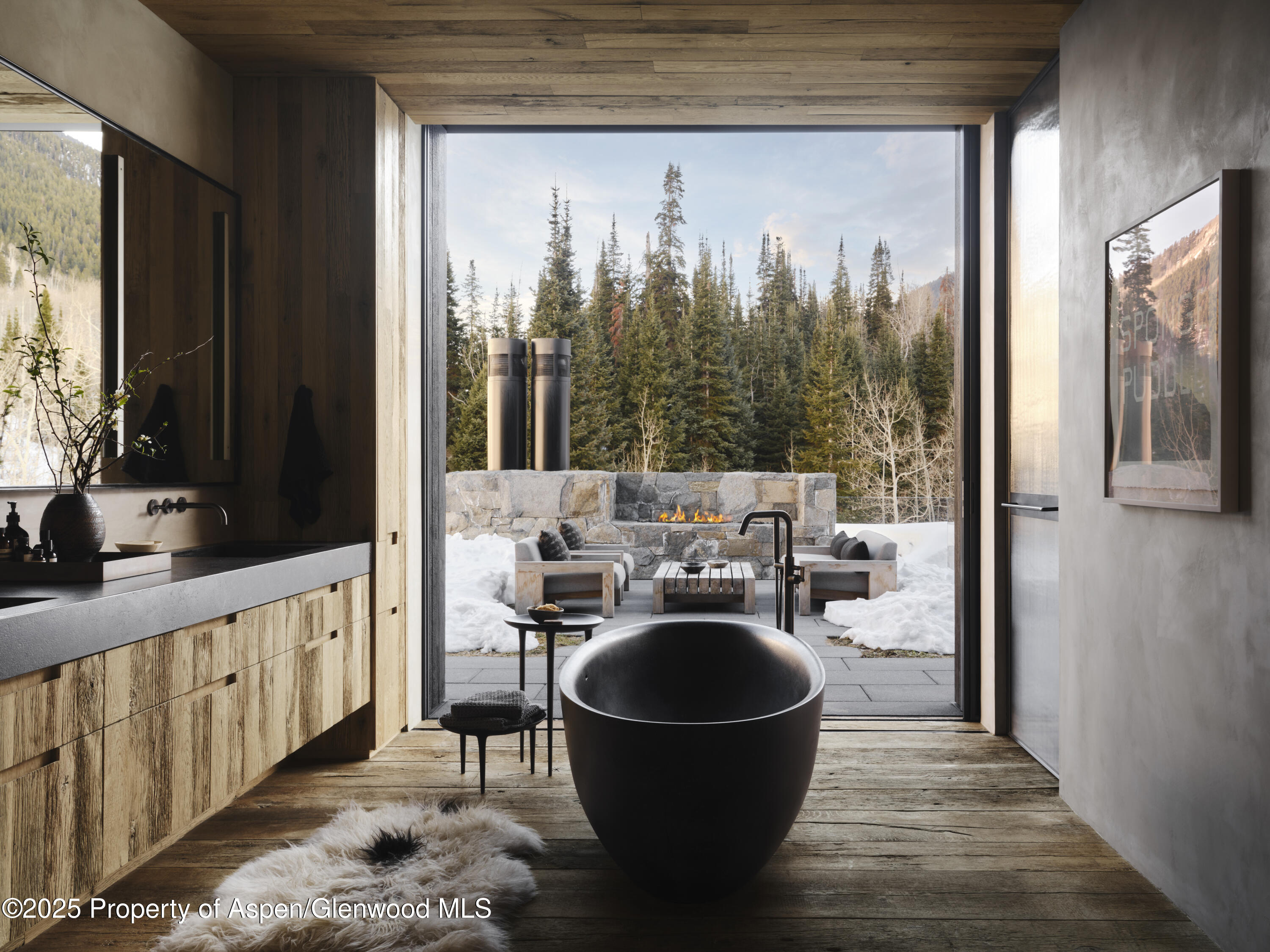 724 N Hayden Road Aspen CO 81611